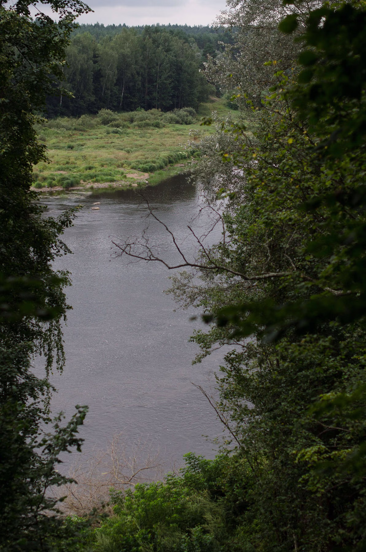 DSC_4150
