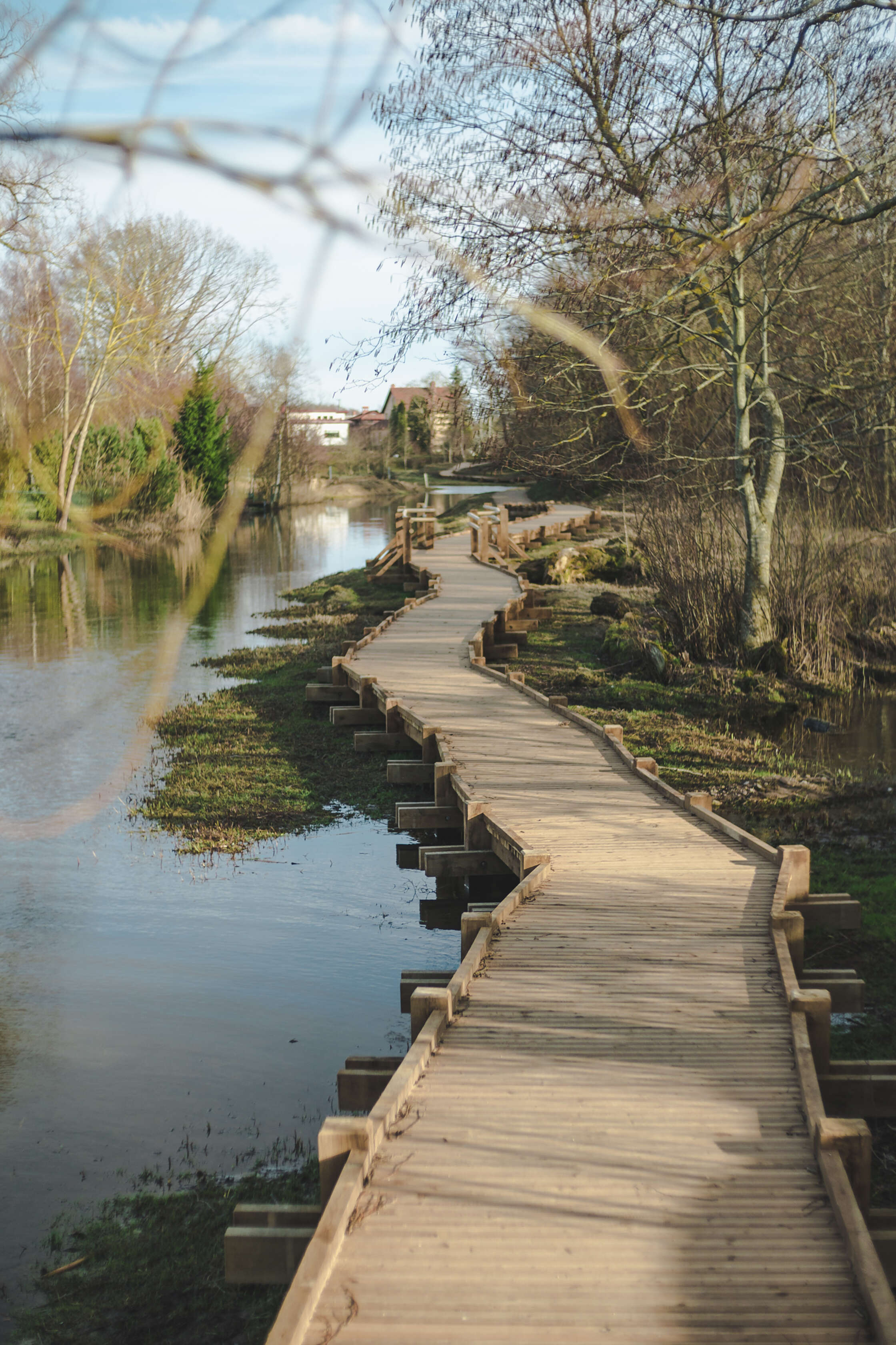 retina-Alandes_Taka_Grobina_2_