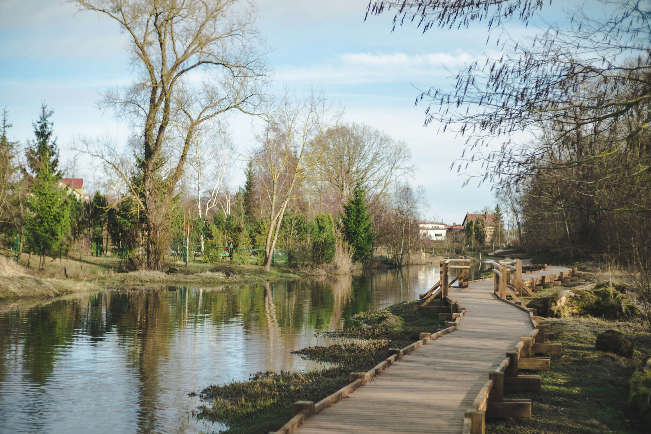 retina-Alandes_Taka_Grobina_3_