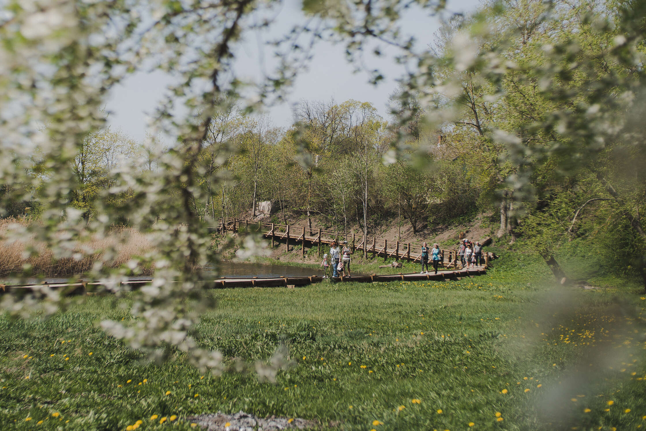 retina-Alandes_upes_taka_Grobina_22_