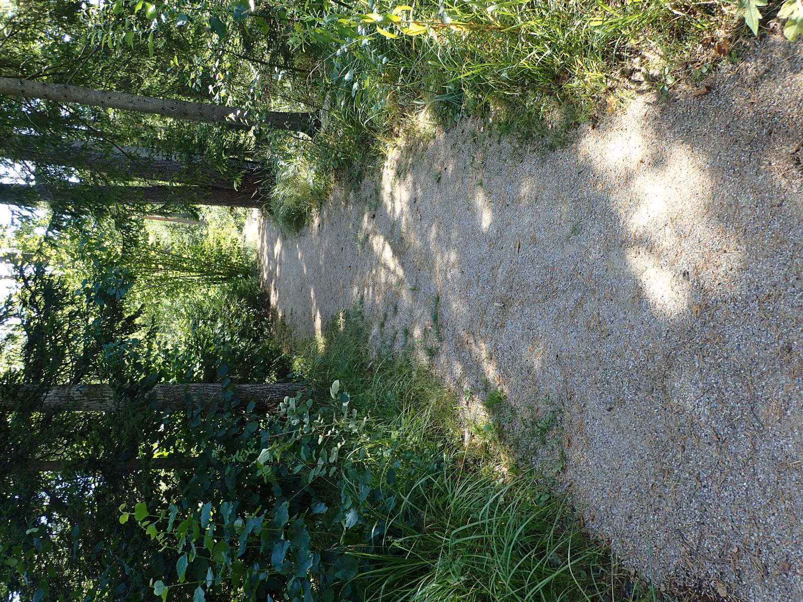 P8080118
