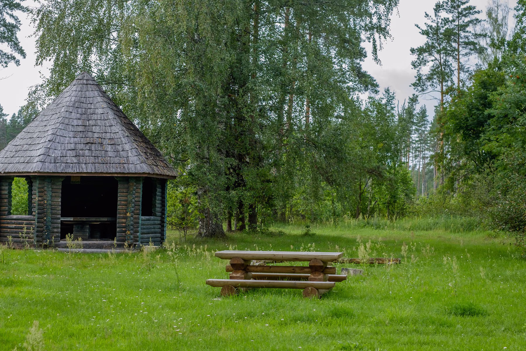 DSCF2051