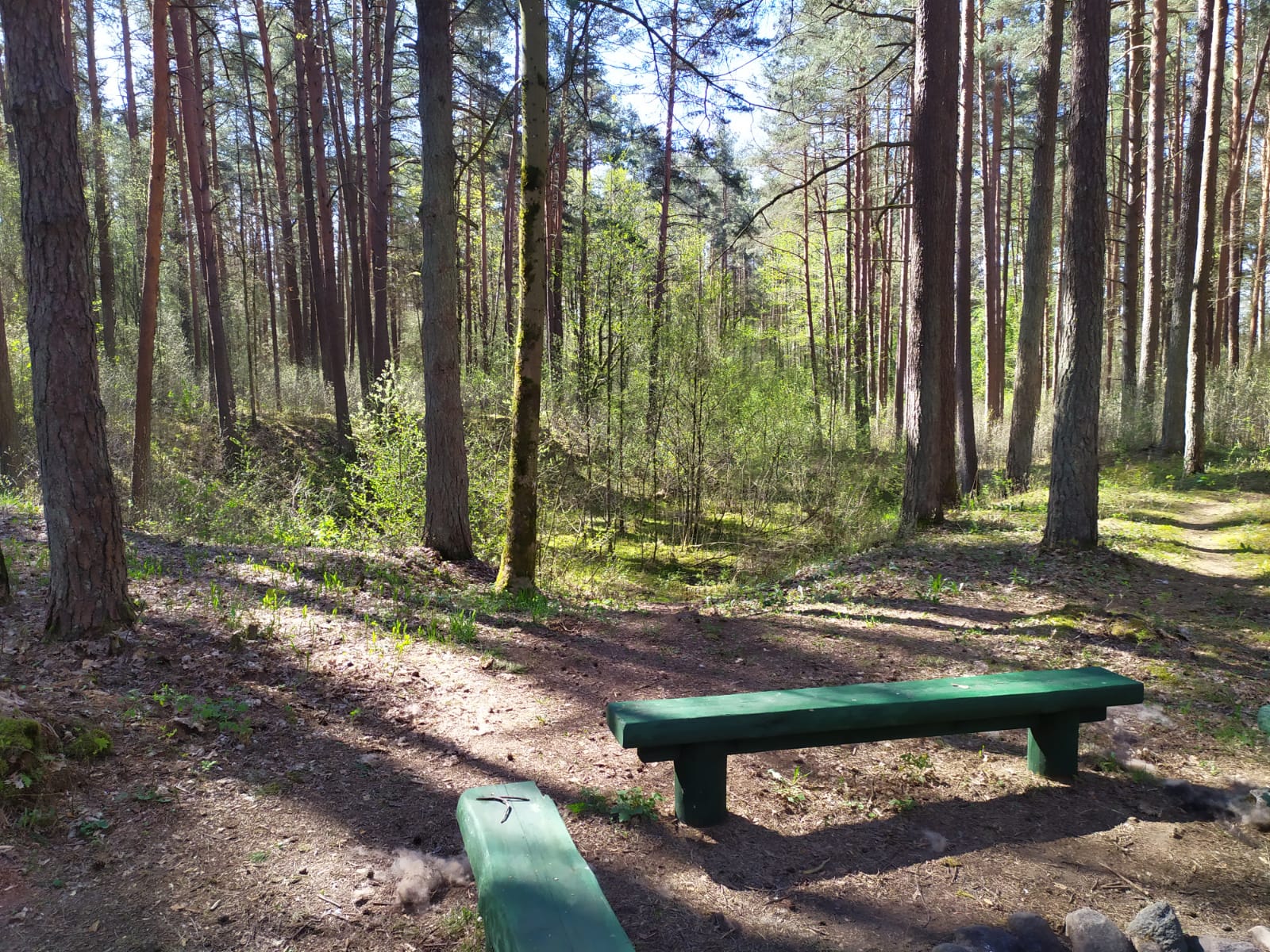 40EF4121-CE21-4B57-93FE-7295F7FC274F