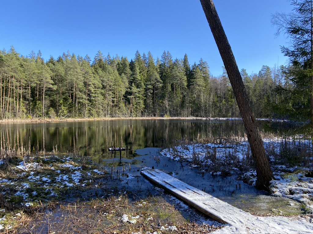 FB2E2621-42C2-4D60-BF78-3AD334F5F241_1_105_c