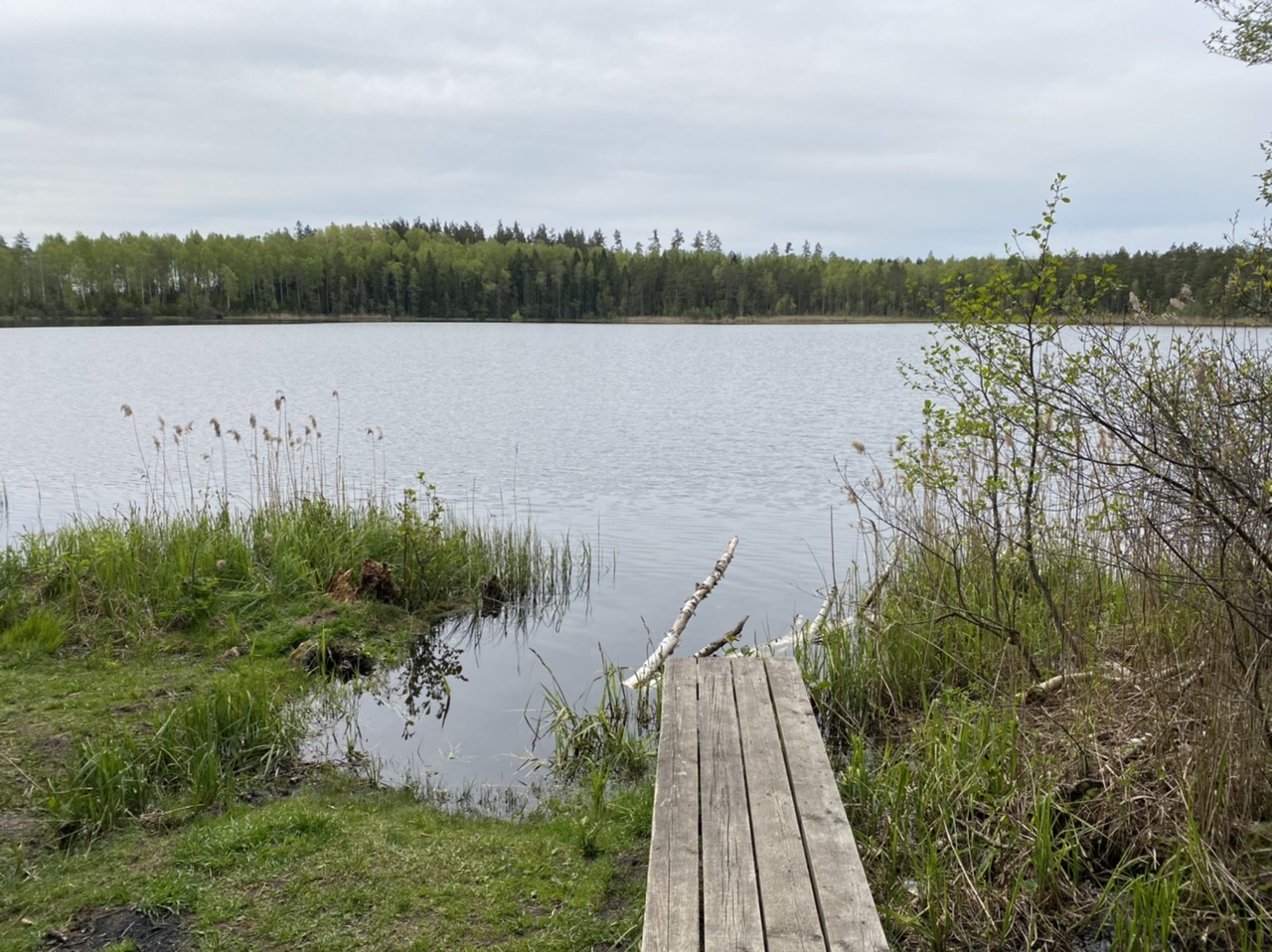 B840D42C-6333-49DE-8893-87A0771994DE