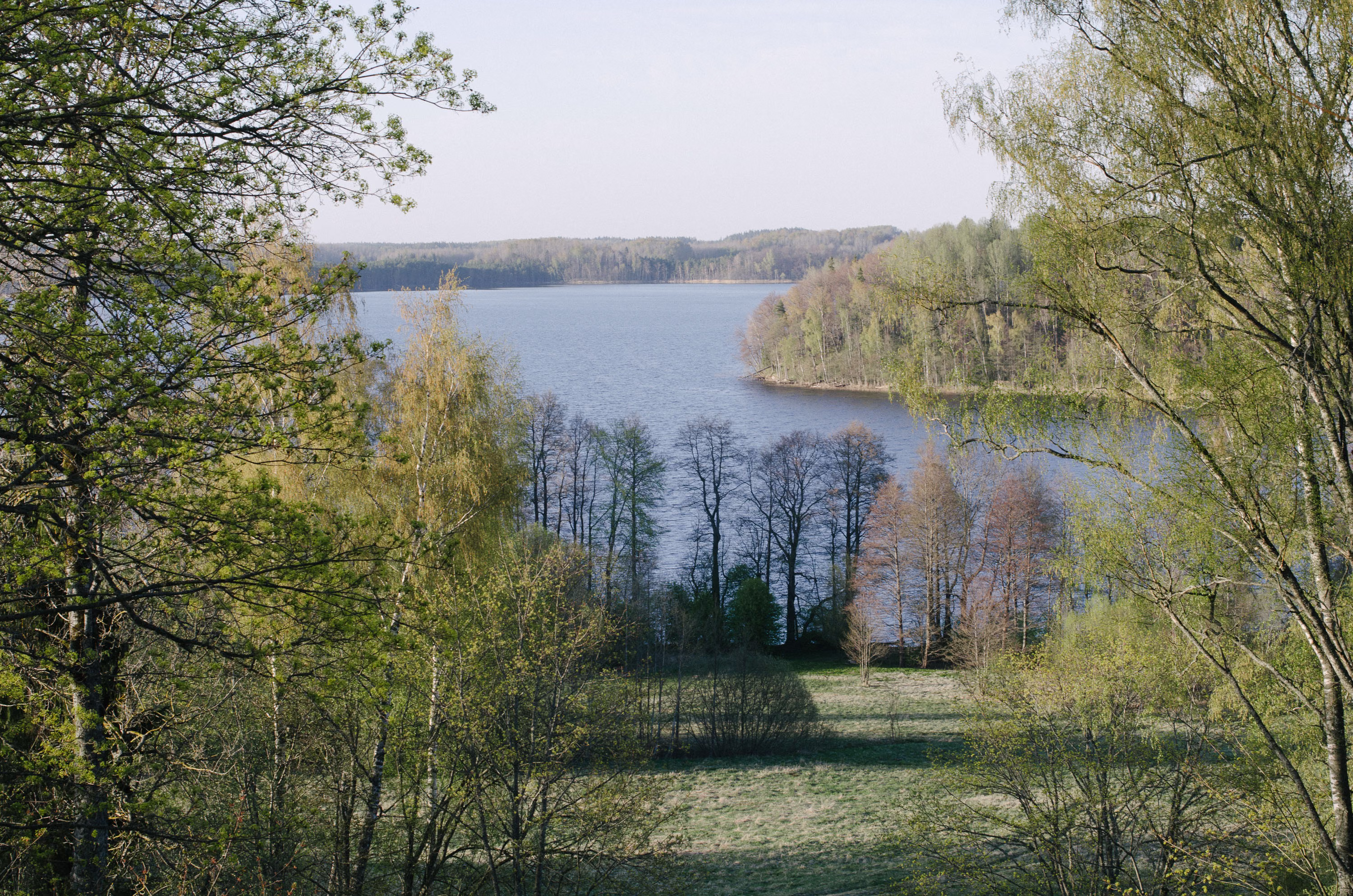 DSC_1480