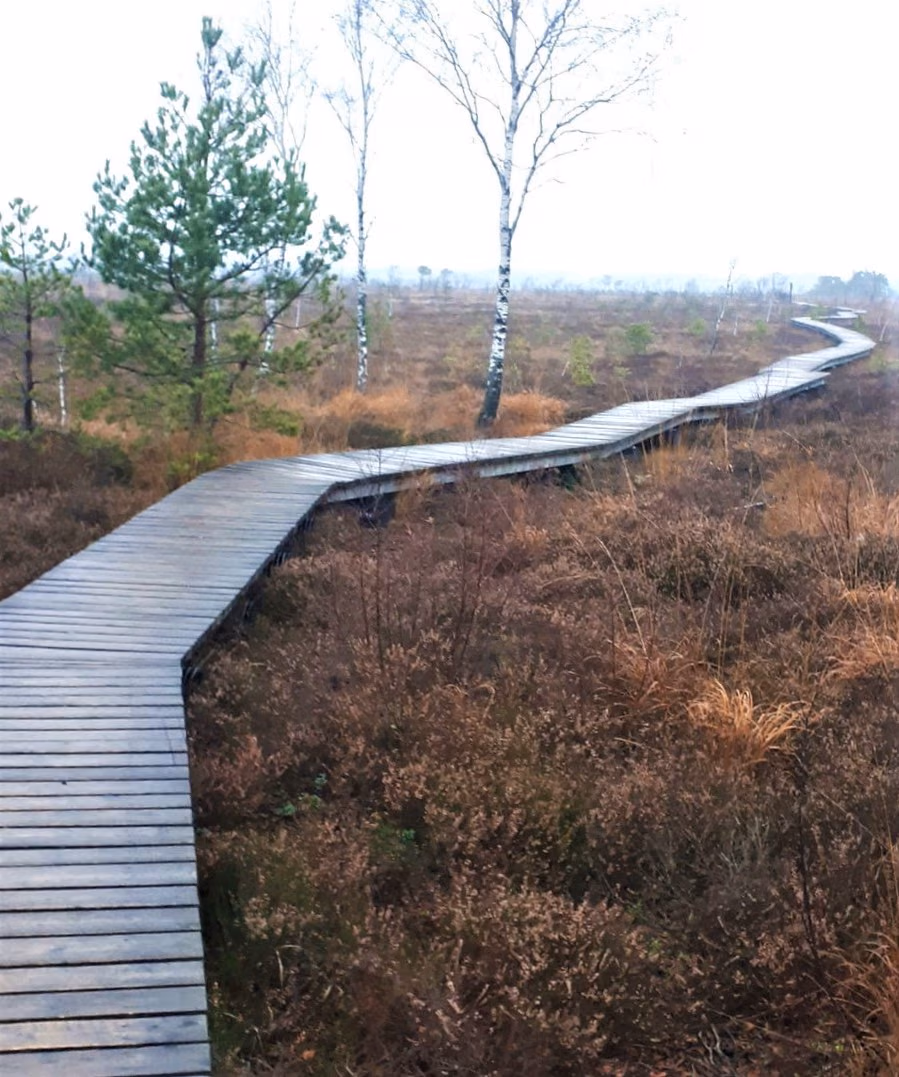 aukstumala2