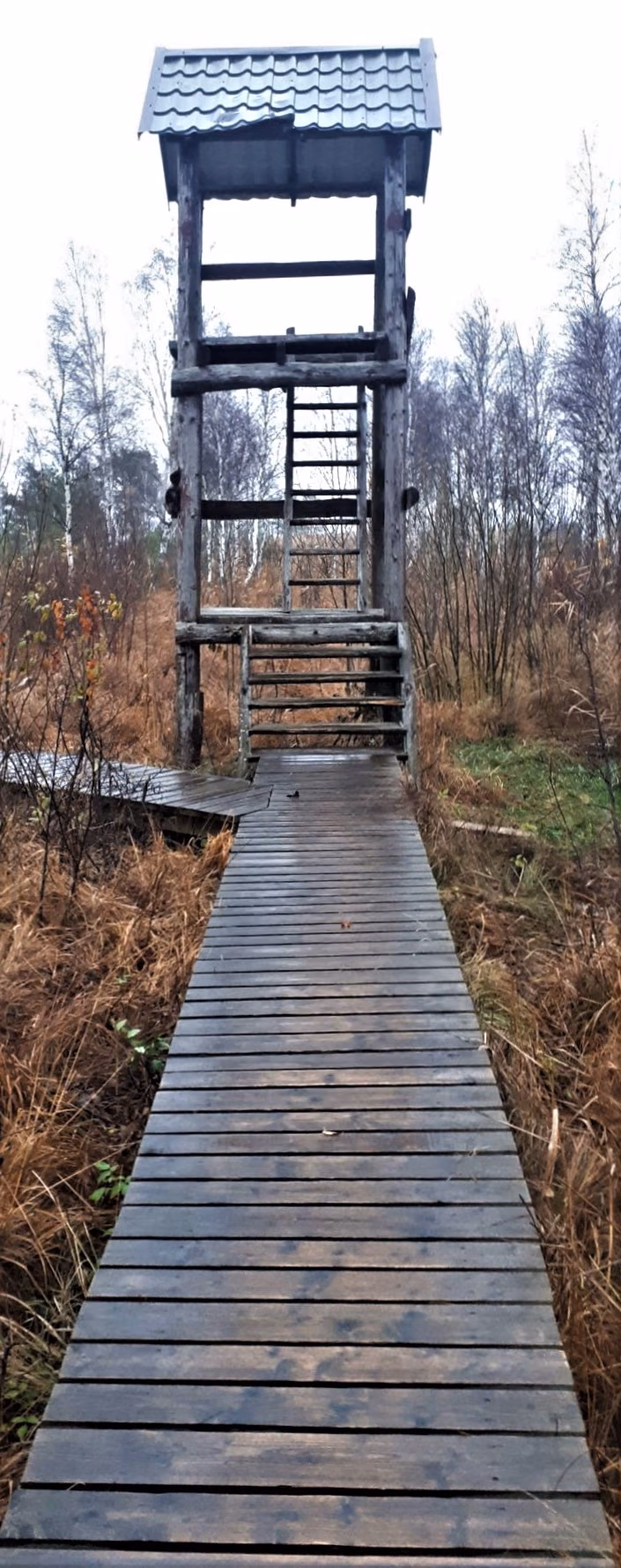 Aukstumala_viewpoint