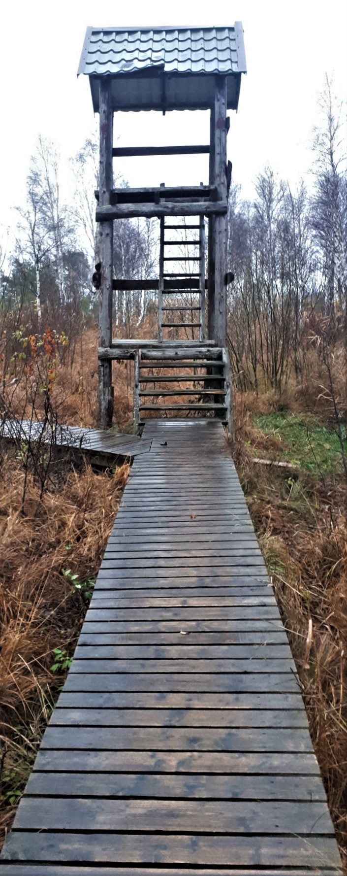 Aukstumala_viewpoint