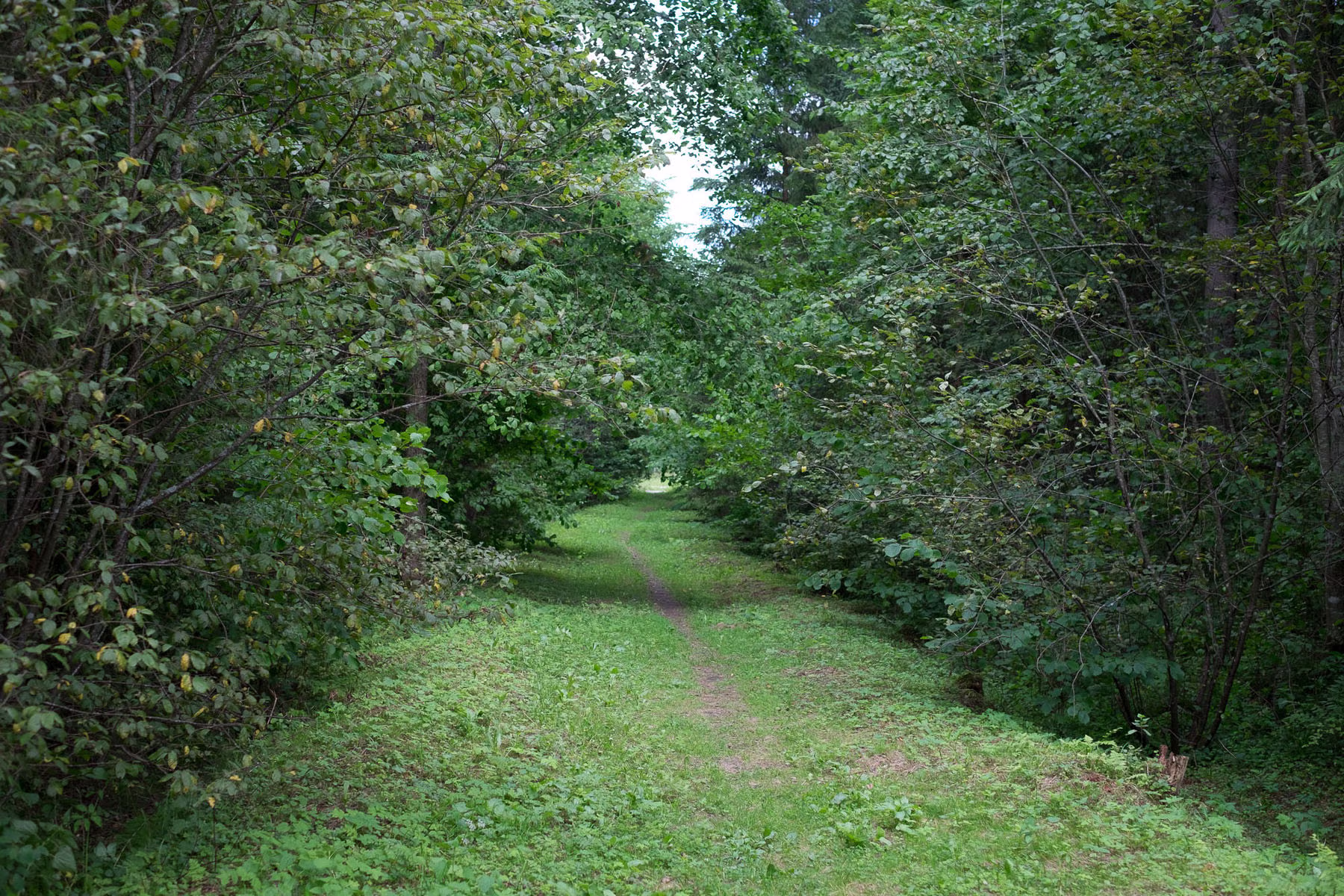 DSCF7585