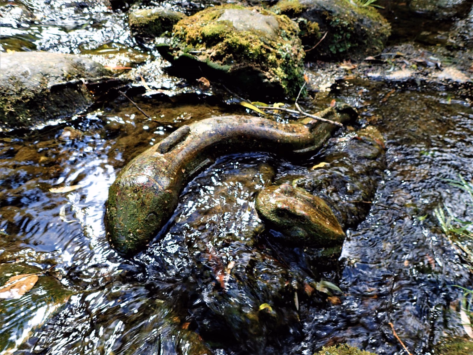 P8120213