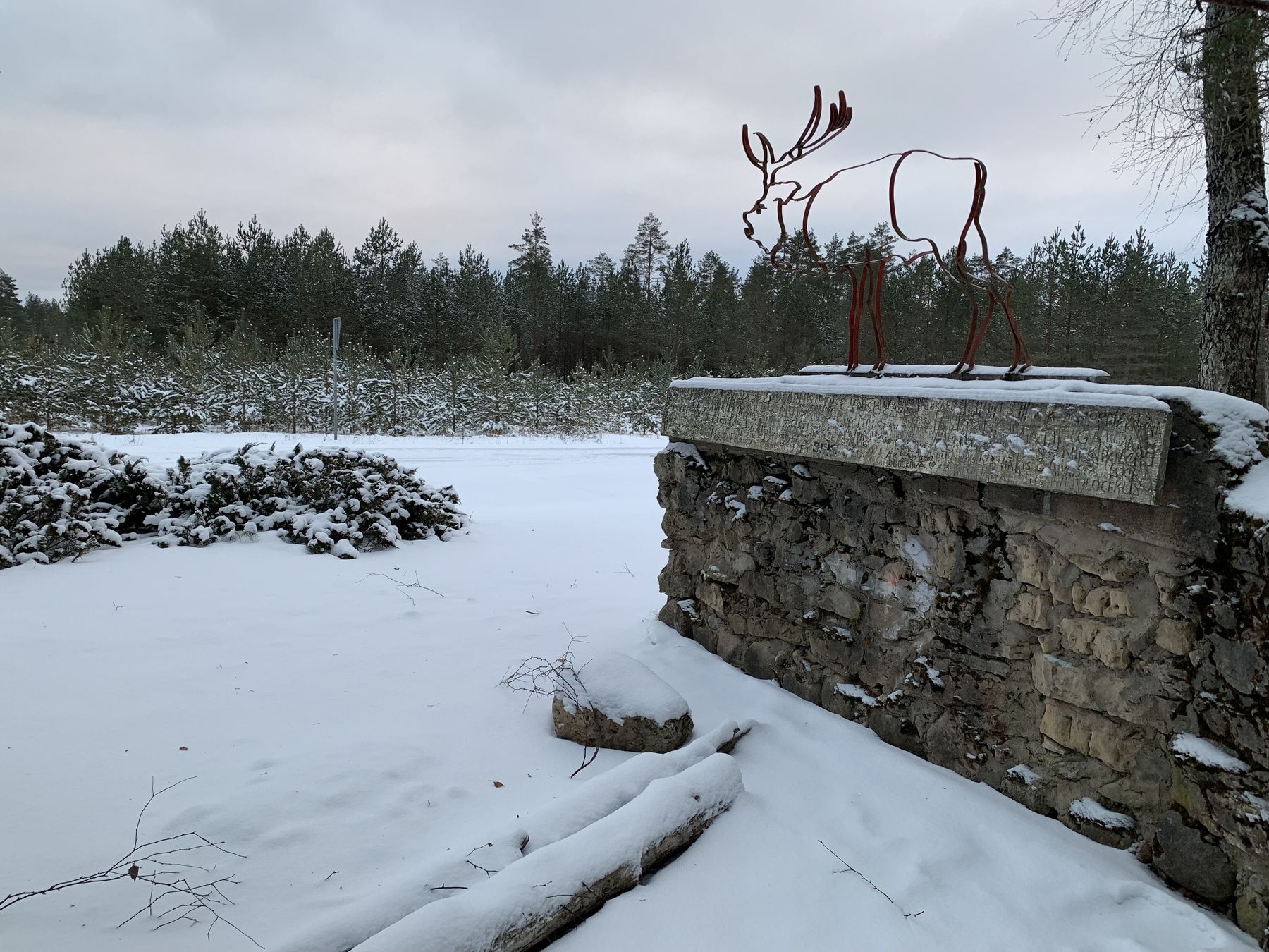 wn1wbSrgS5O0NuzG6LT2_w