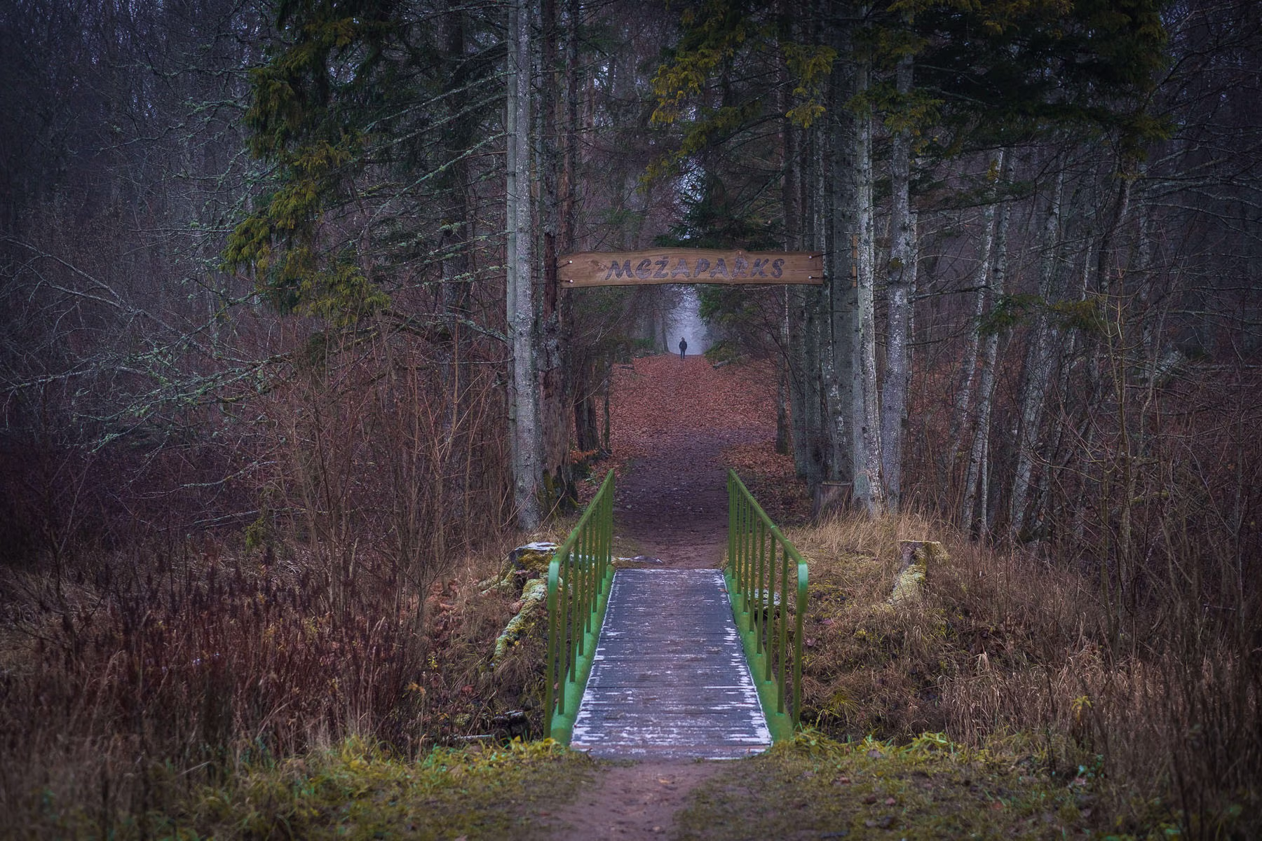 DSCF7574