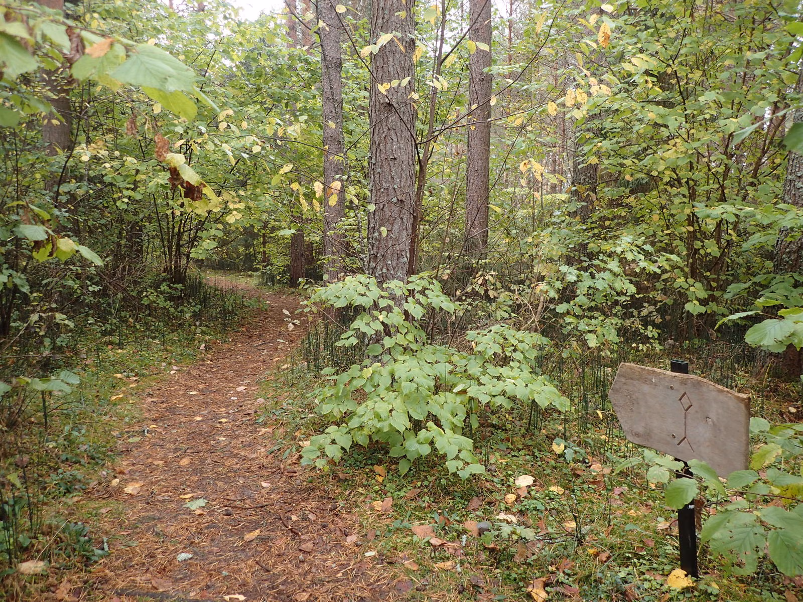 PA030010