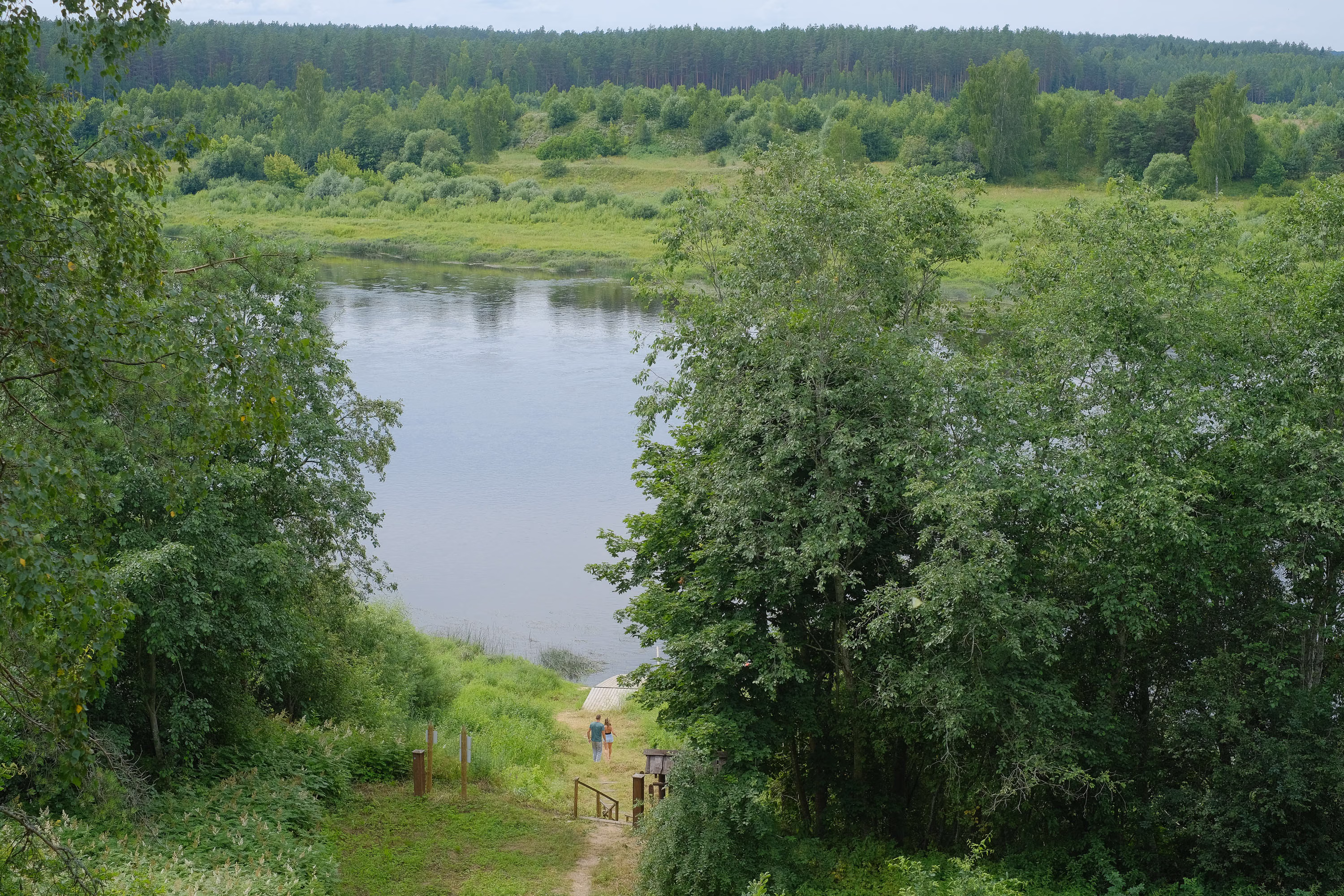 DSCF1004