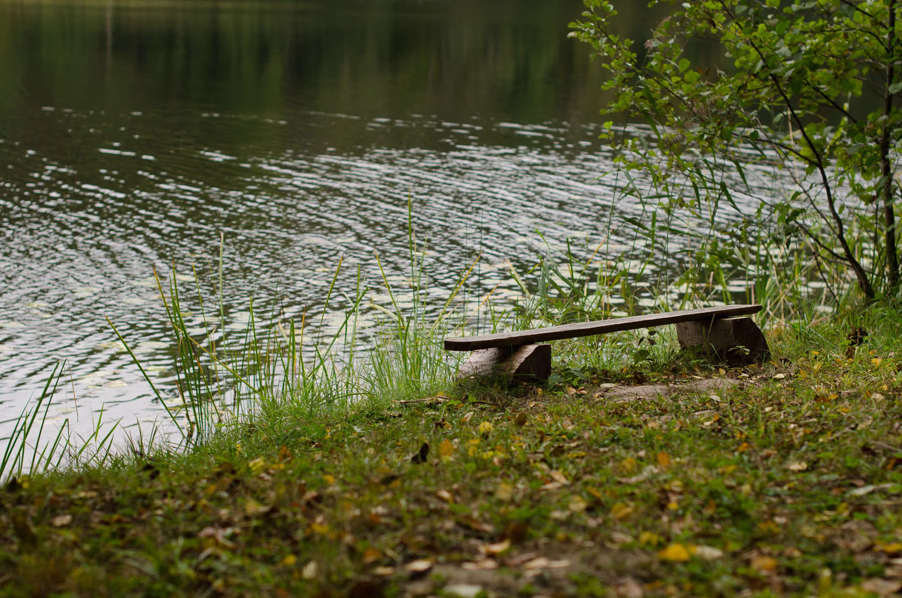 DSC_5676