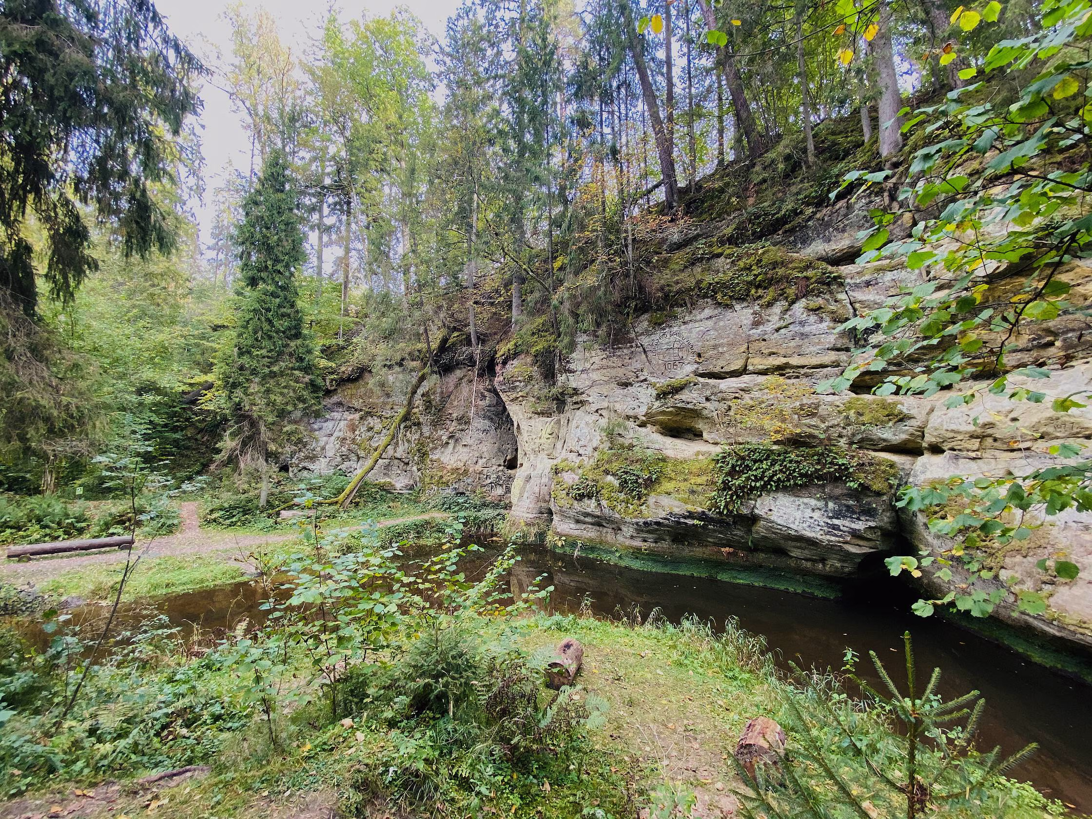 rIMG_5006