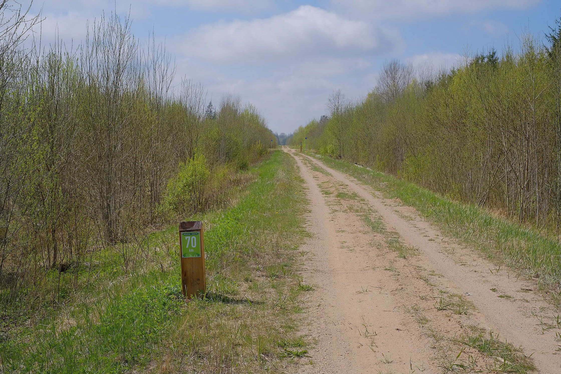 rDSCF0591