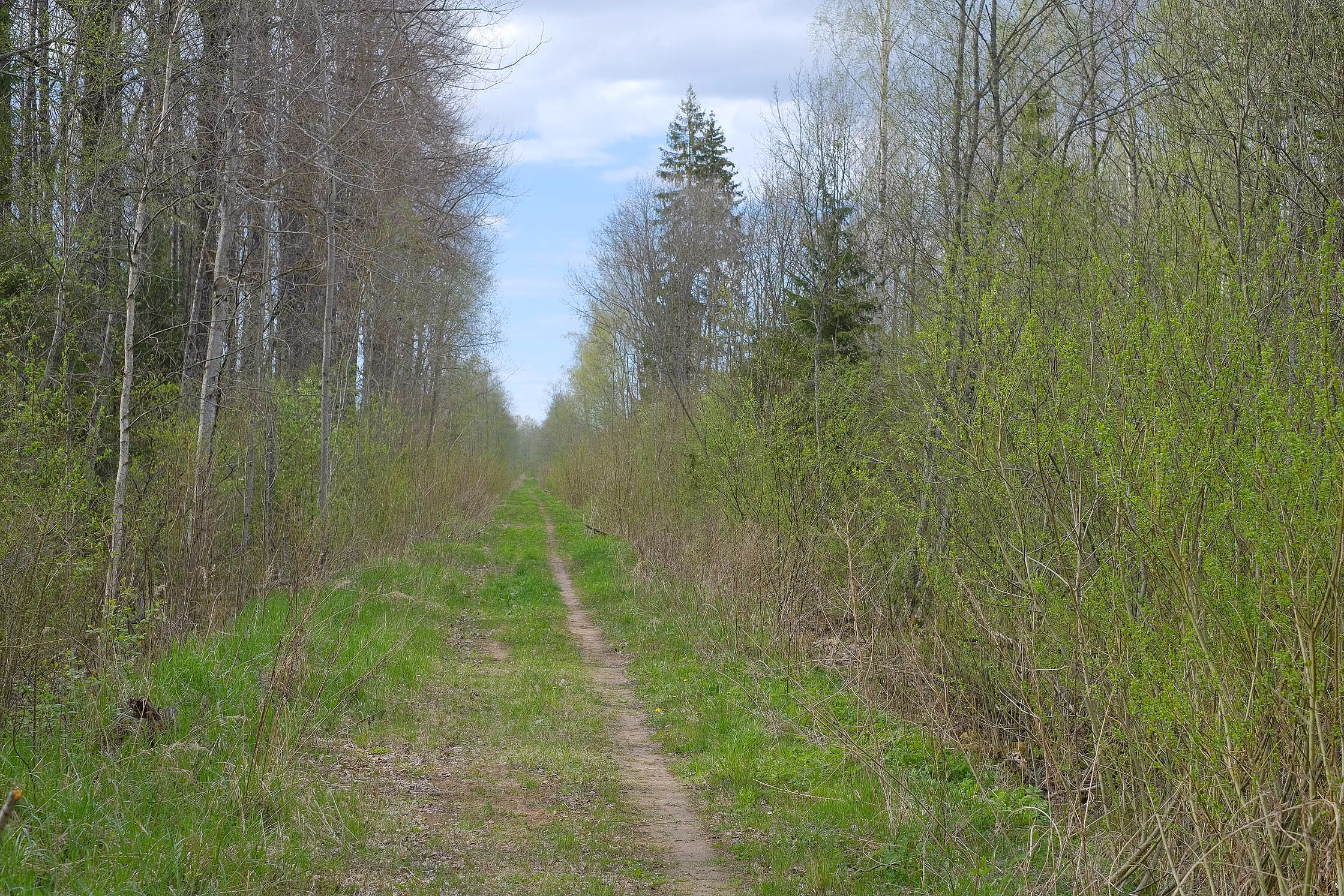 rDSCF0609