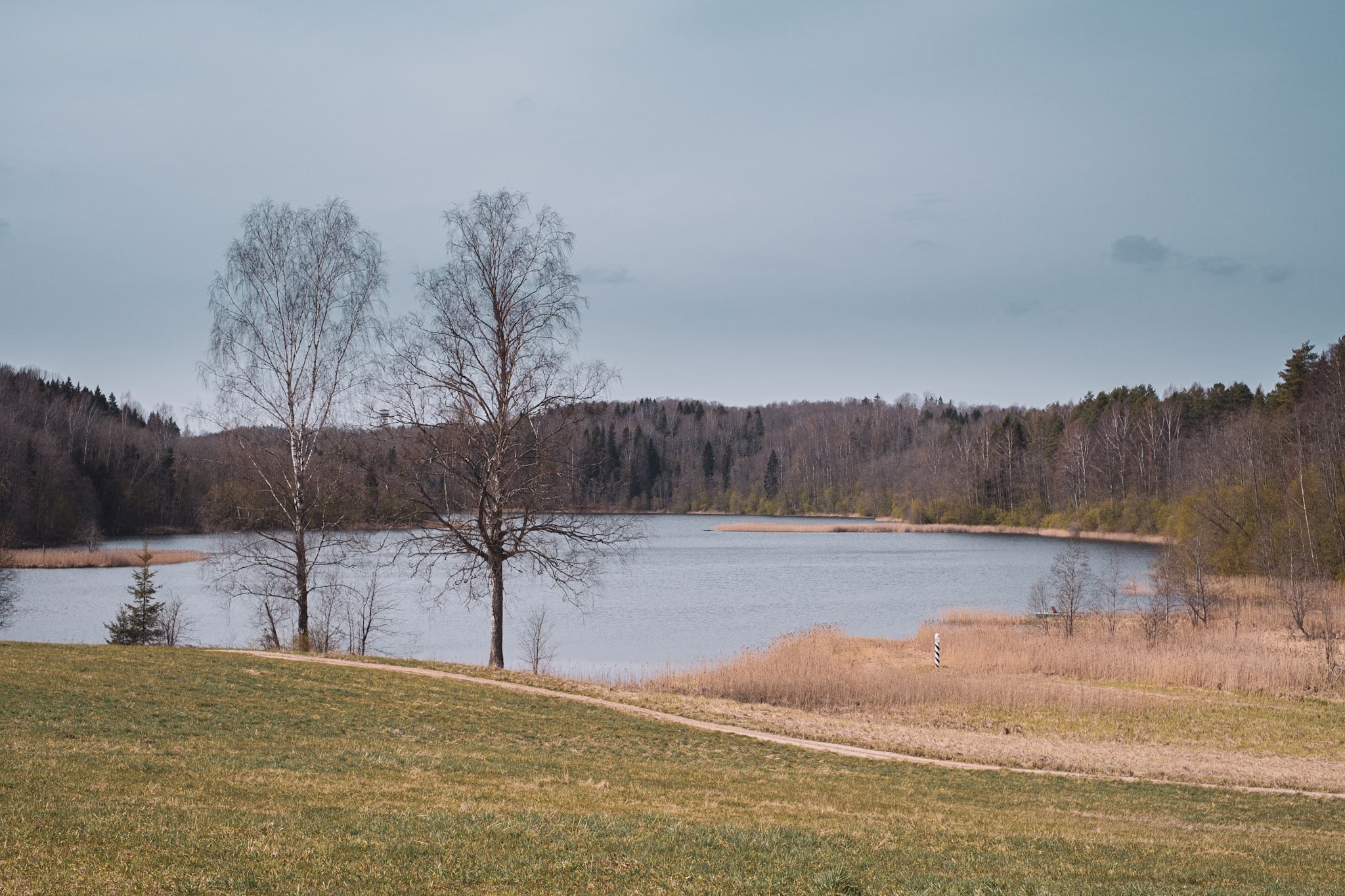 DSCF0486
