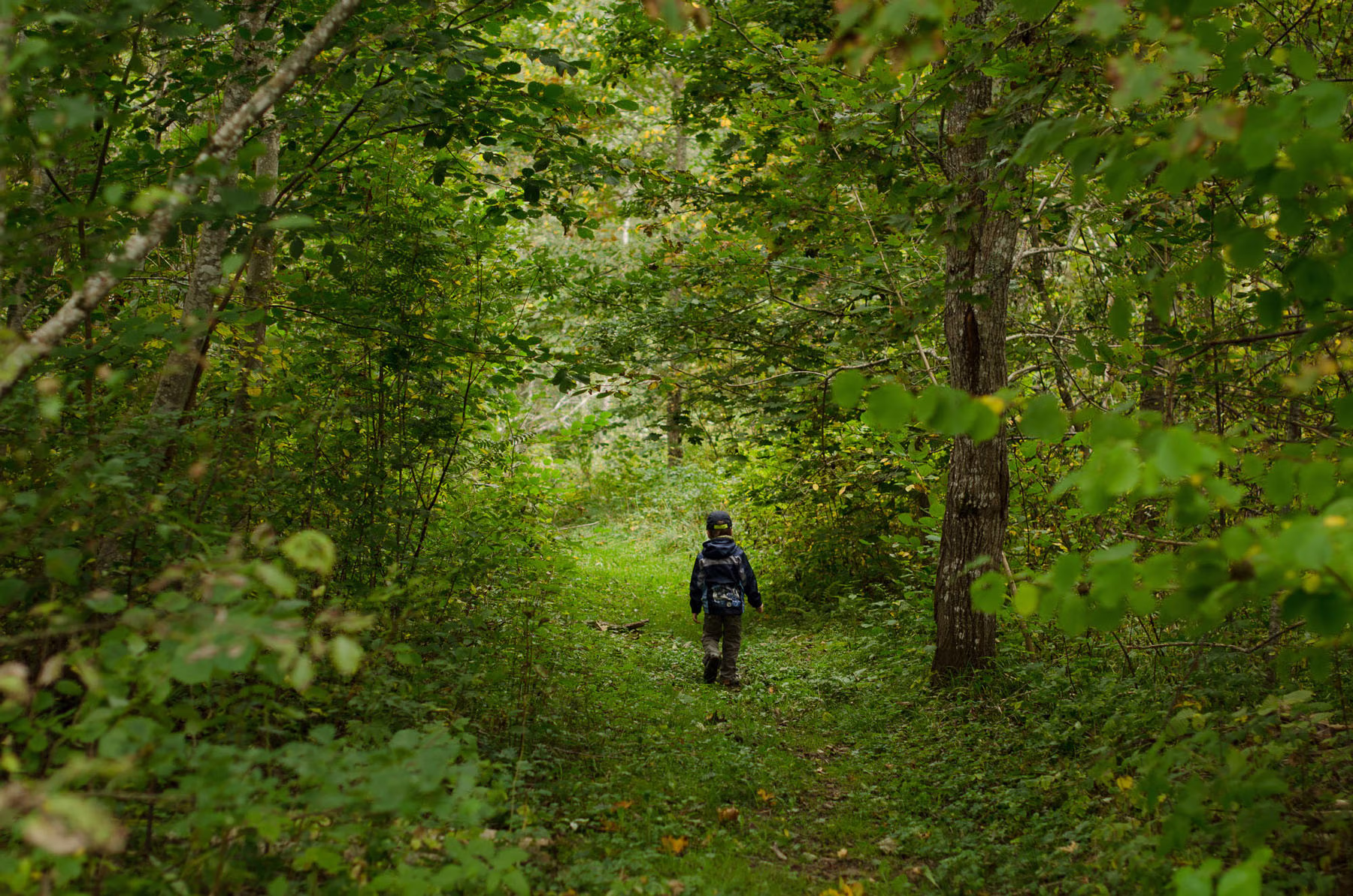 DSC_5593