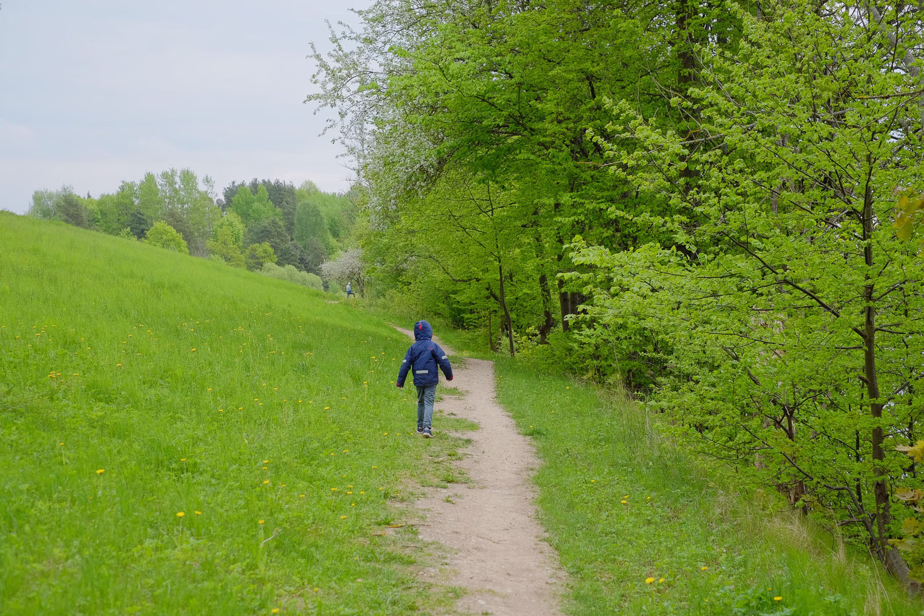 DSCF1564