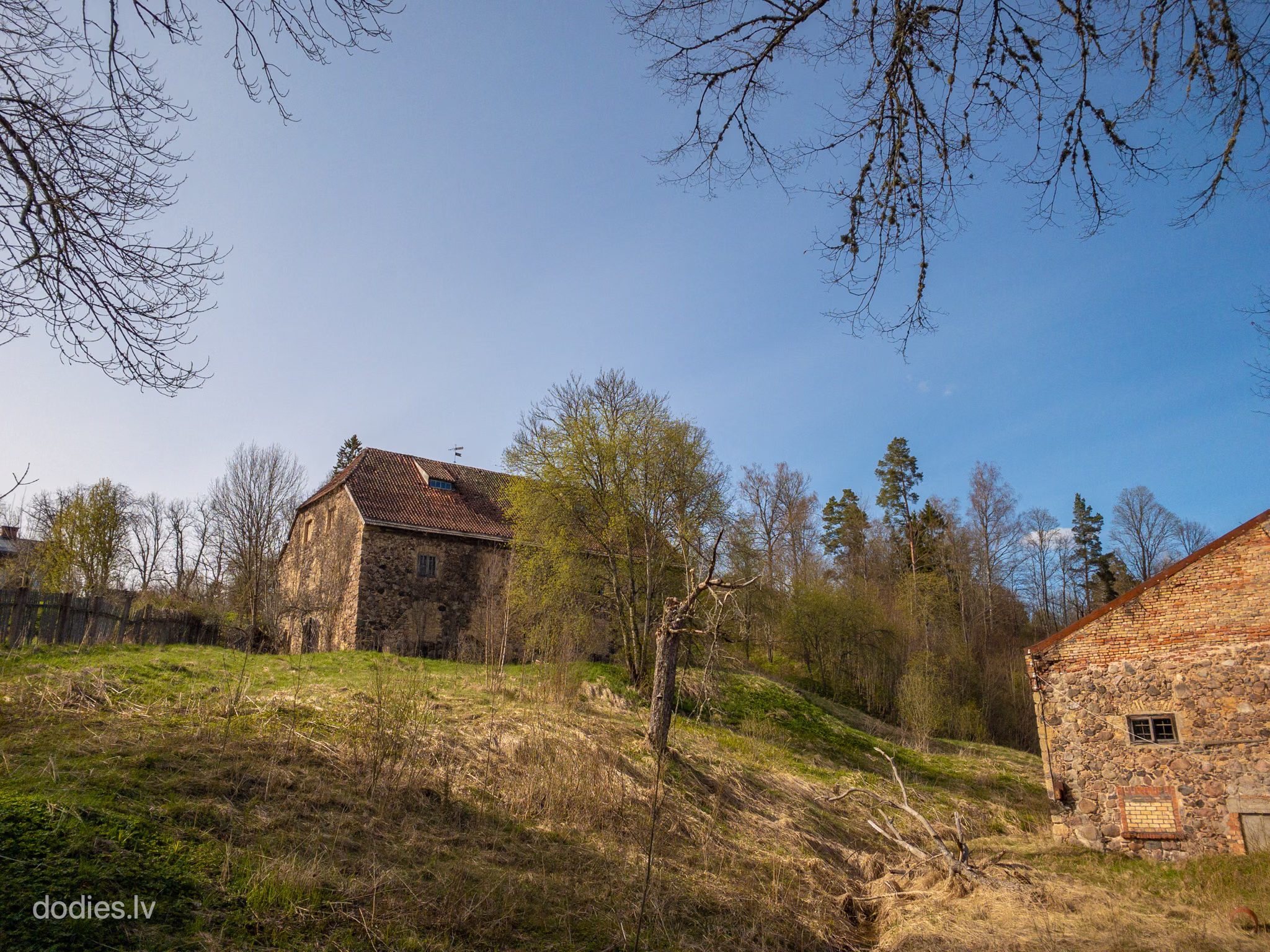 IMG_7362