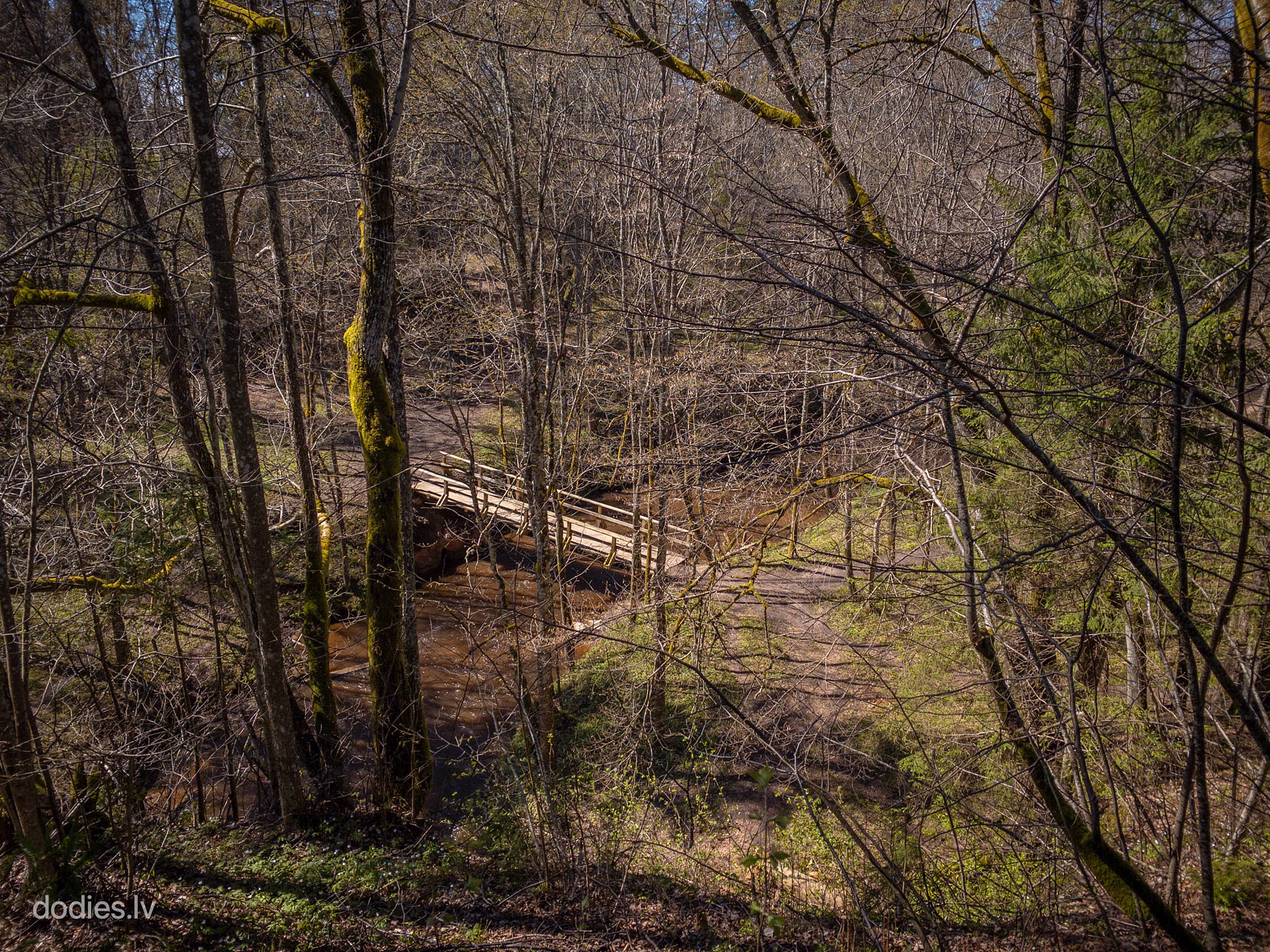 rIMG_7344