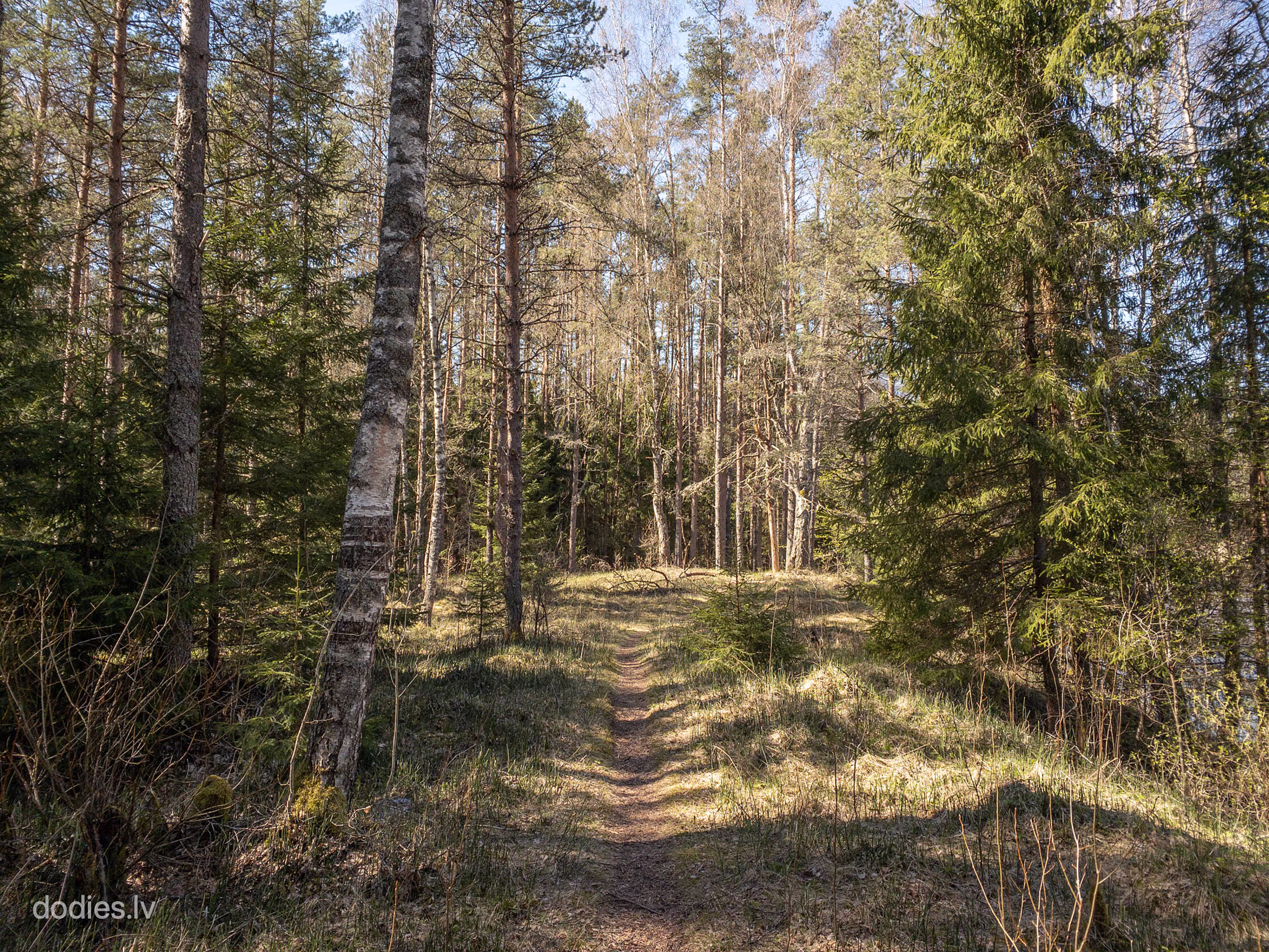 rIMG_7350