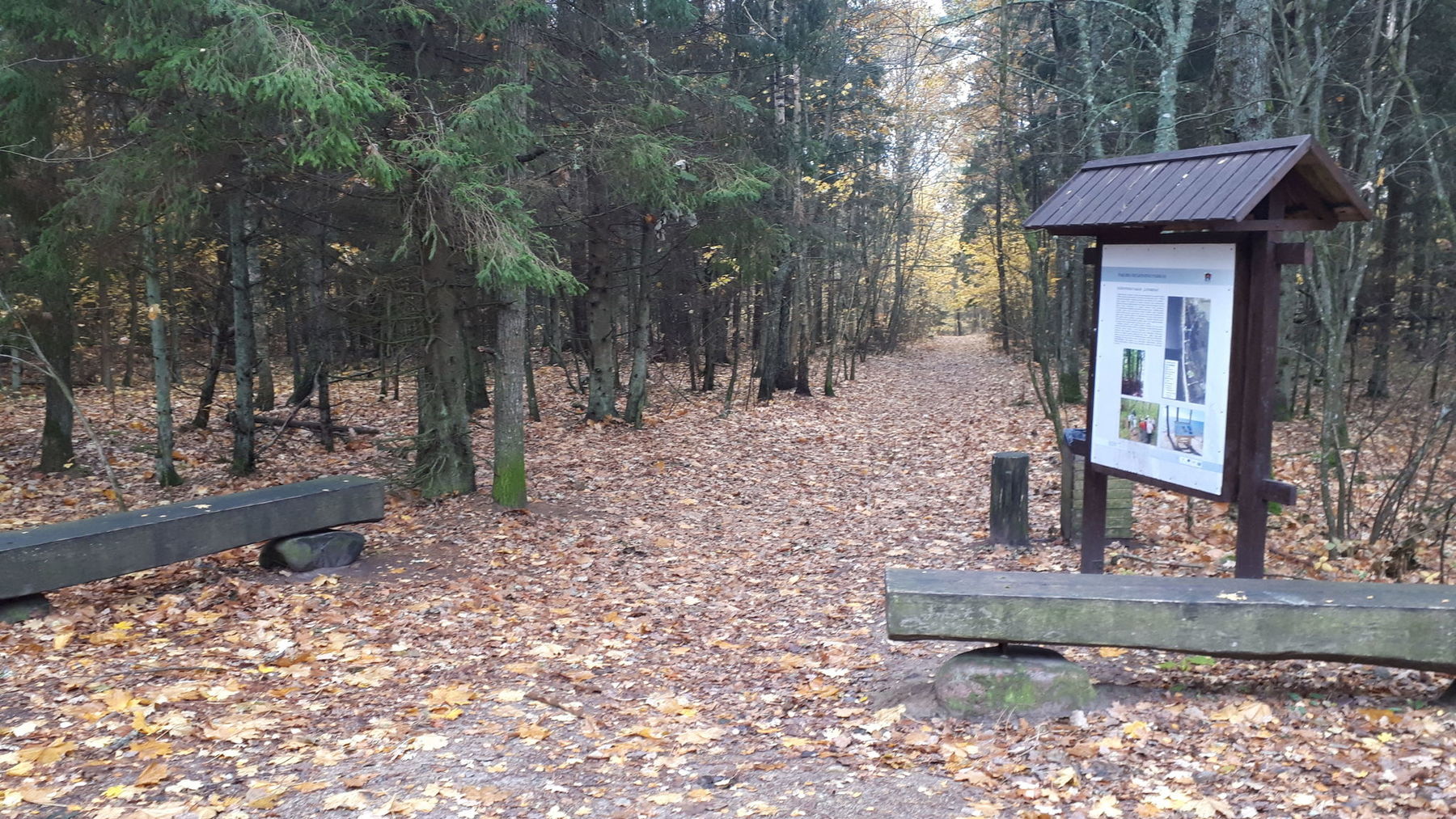 Litorina_another_starting_point