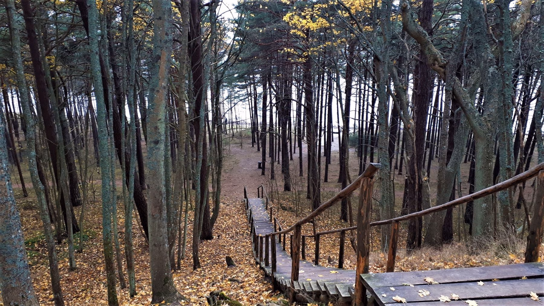 Litorina_stairs