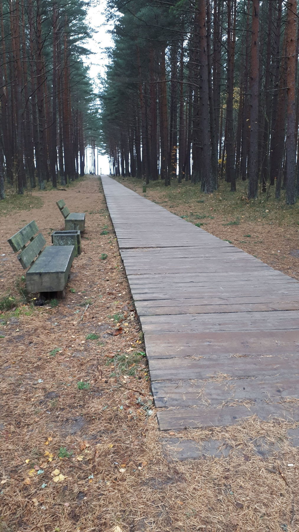 Litorina_Trail_to_Olando_kepur_