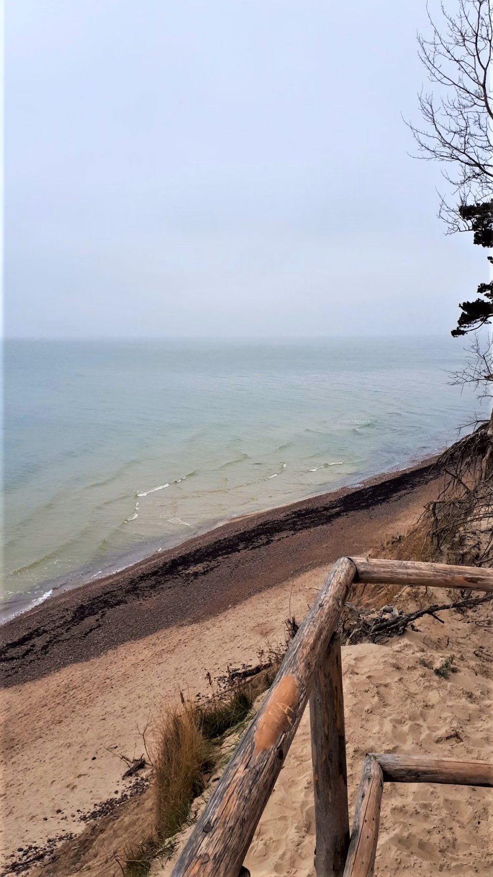 Litorina_Viewpoint