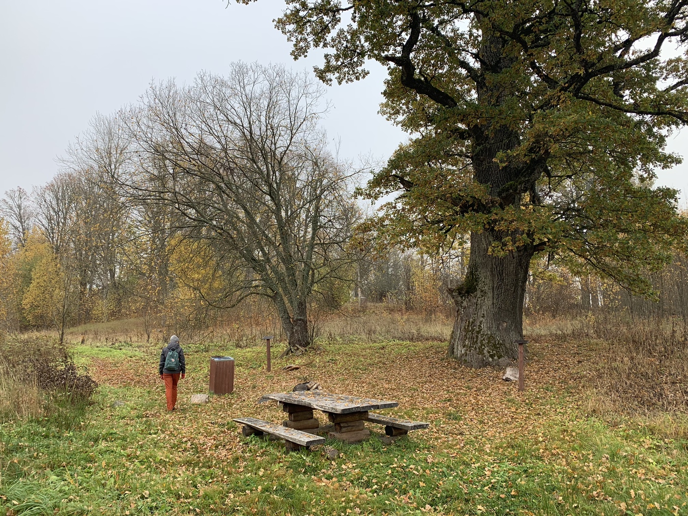 7FD793FC-EEFA-49B0-B221-8A5F72DB5C92