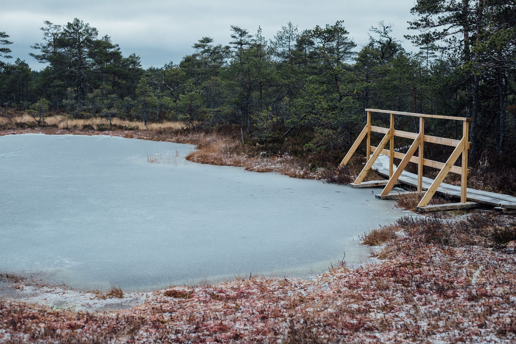 30923021704_e833fad80d_k