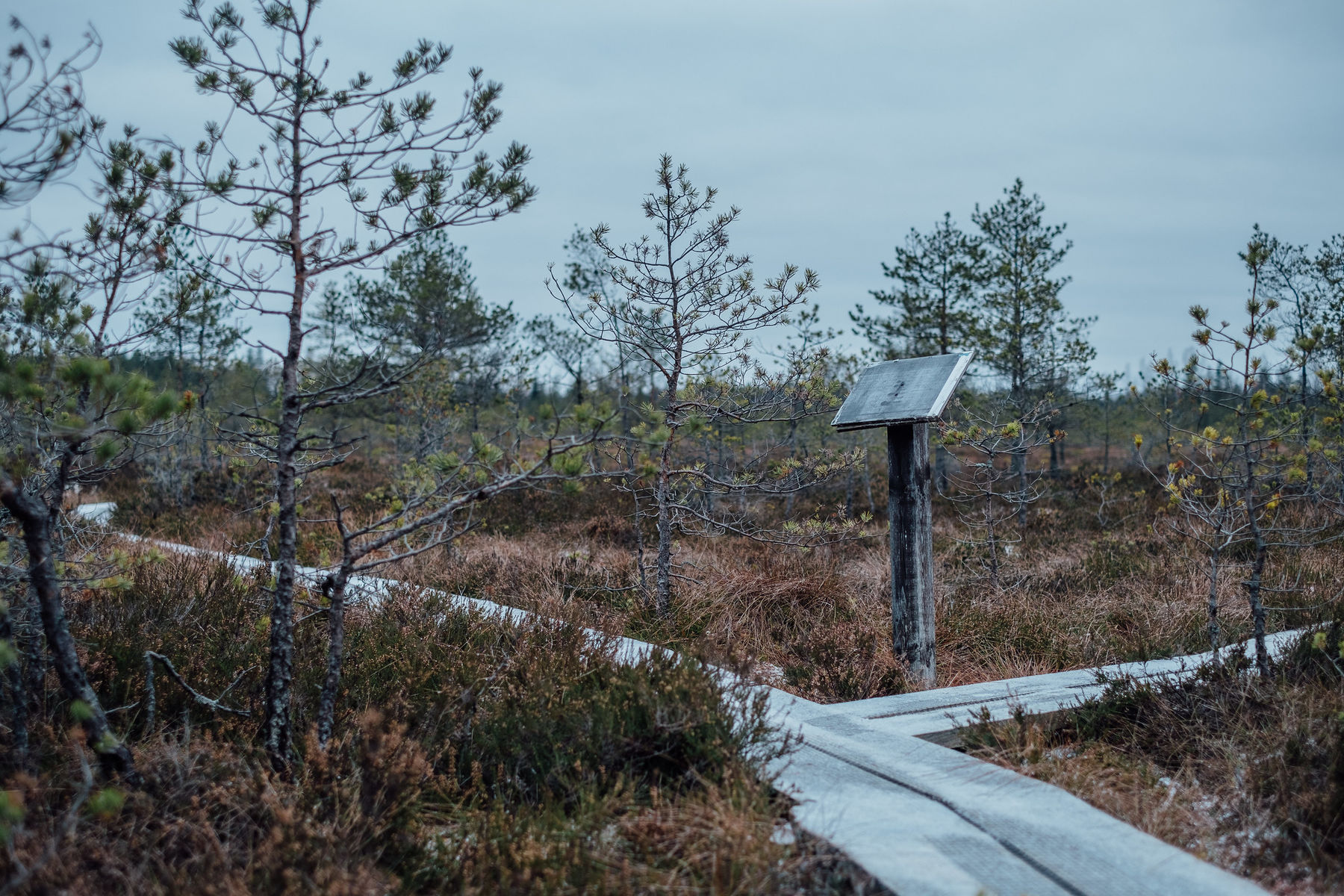 31764994025_260c1f4560_k