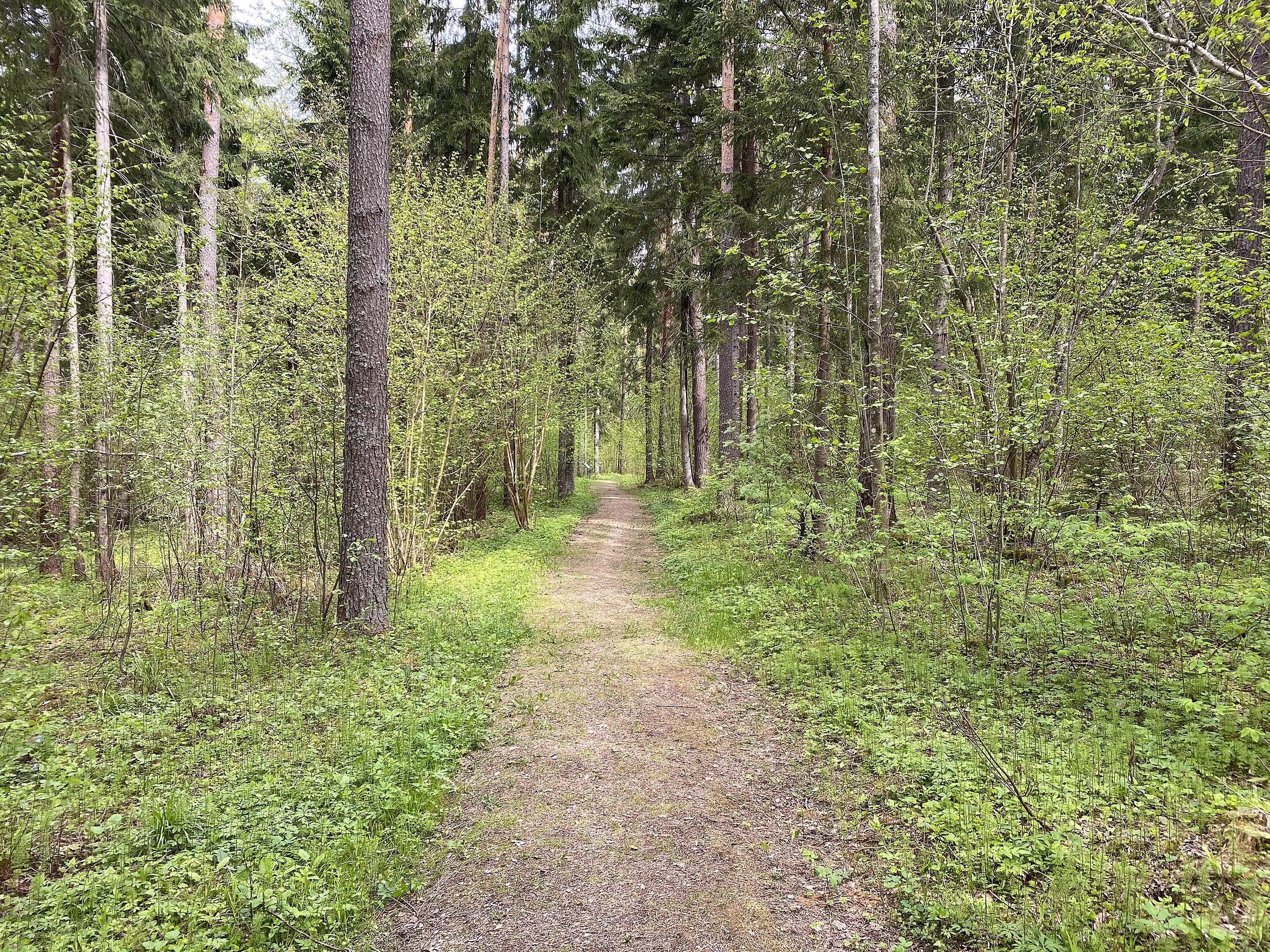 rIMG_3478