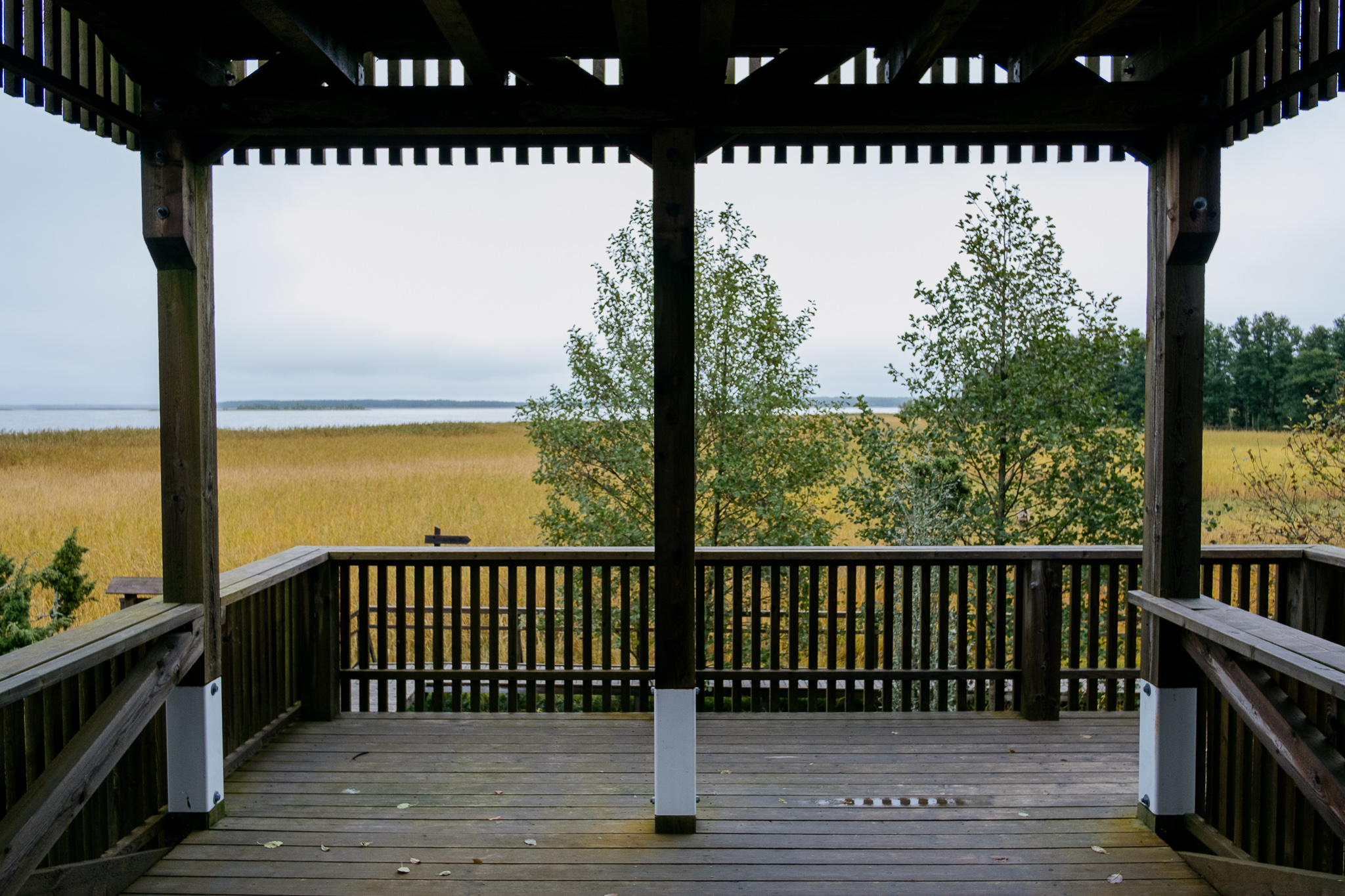 orjaku-trail-hiiumaa_53347873017_o