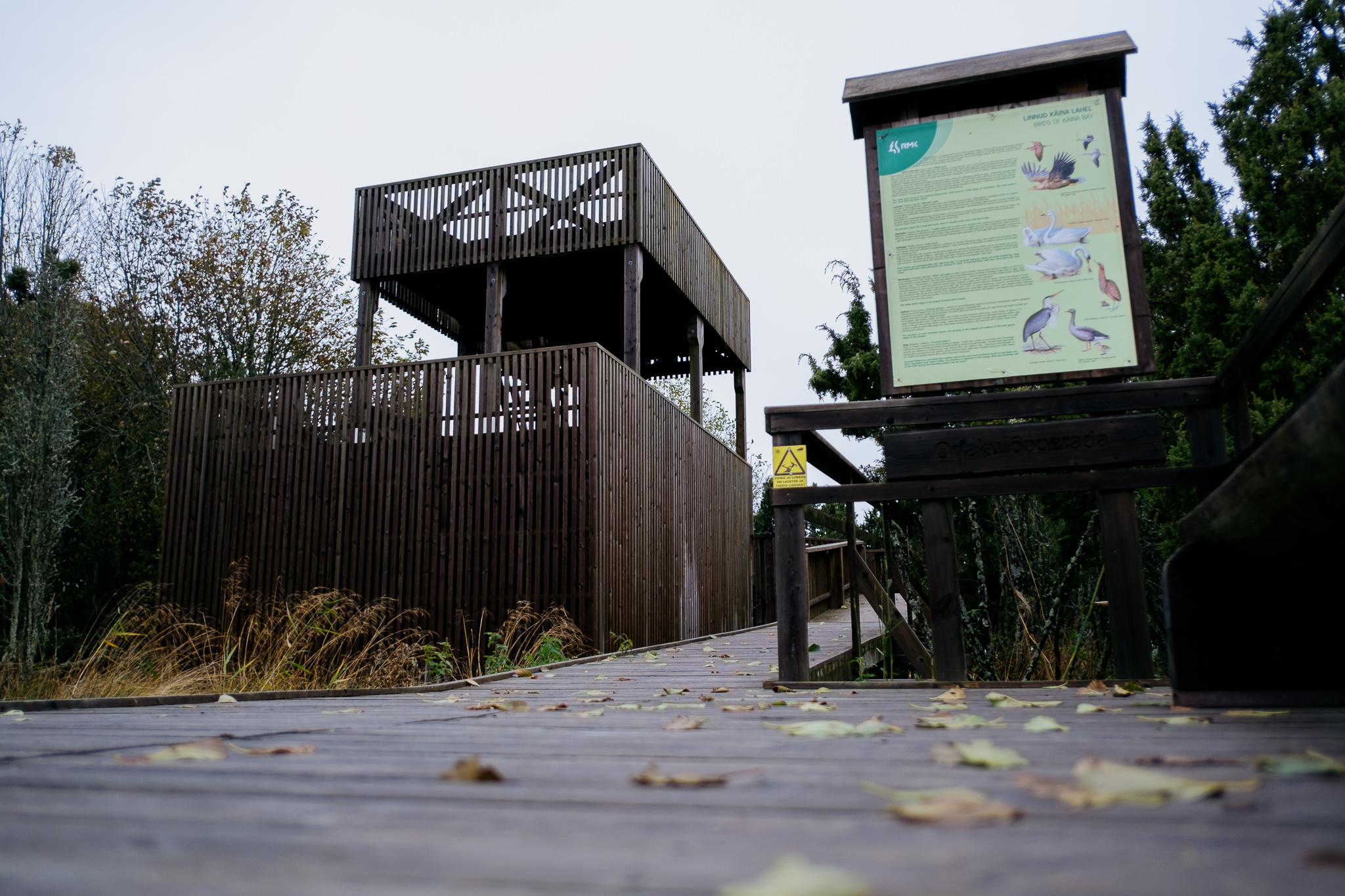 orjaku-trail-hiiumaa_53348976708_o