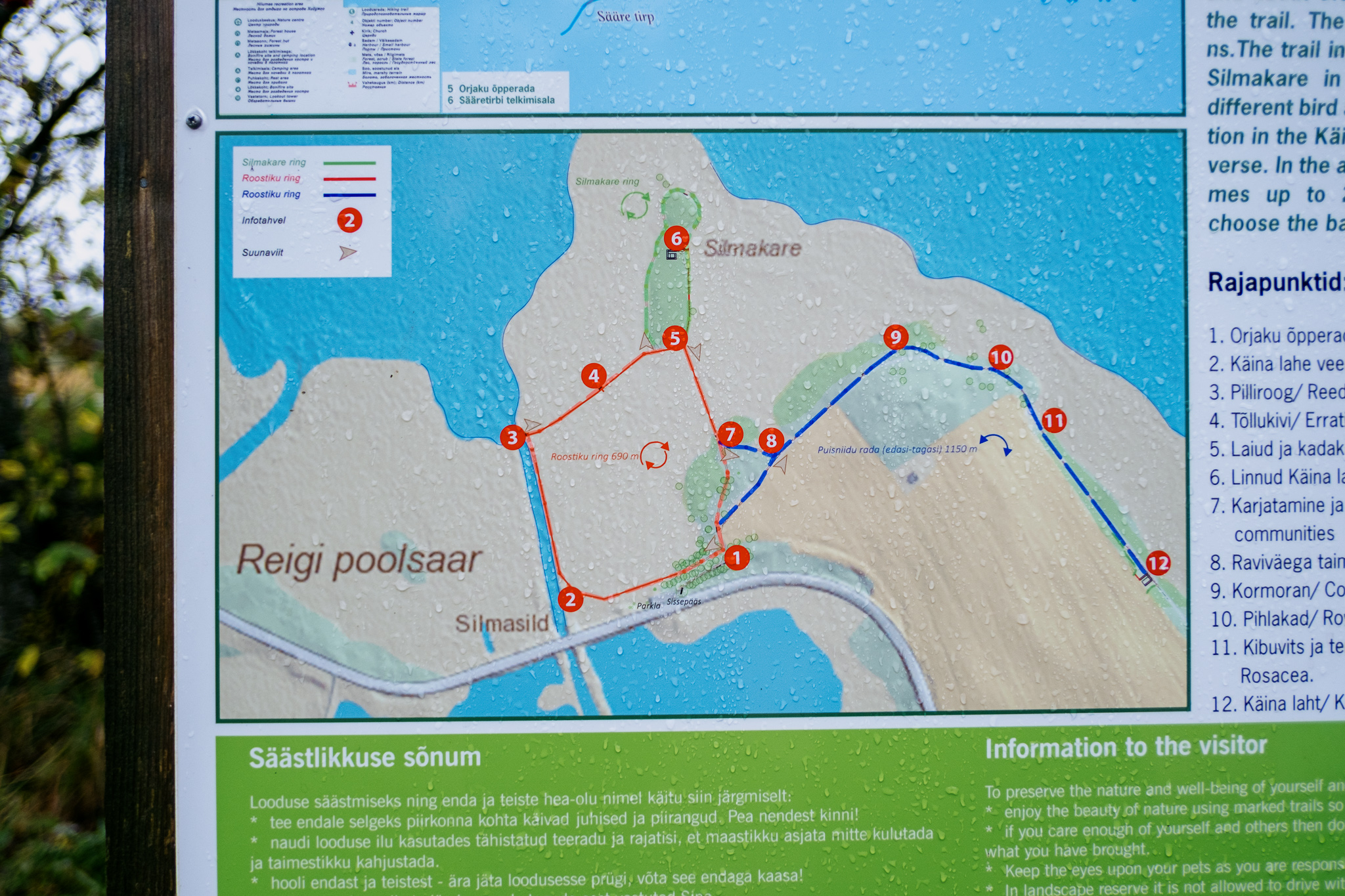 orjaku-trail-hiiumaa_53348977043_o