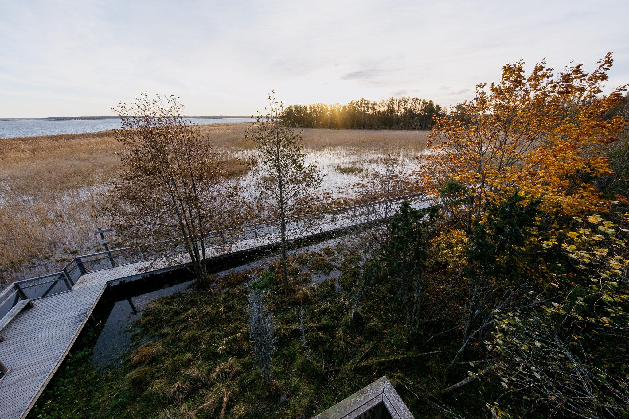 orjaku-trail-hiiumaa_53349067154_o