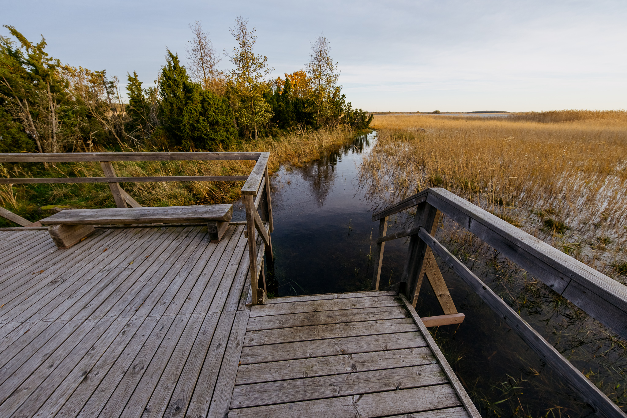 orjaku-trail-hiiumaa_53349194520_o