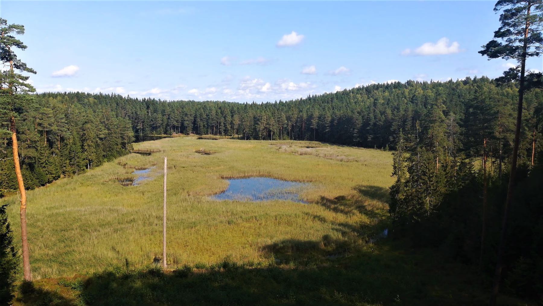 4_Paplatele_trail_R.Augustines_n_8__sultekis
