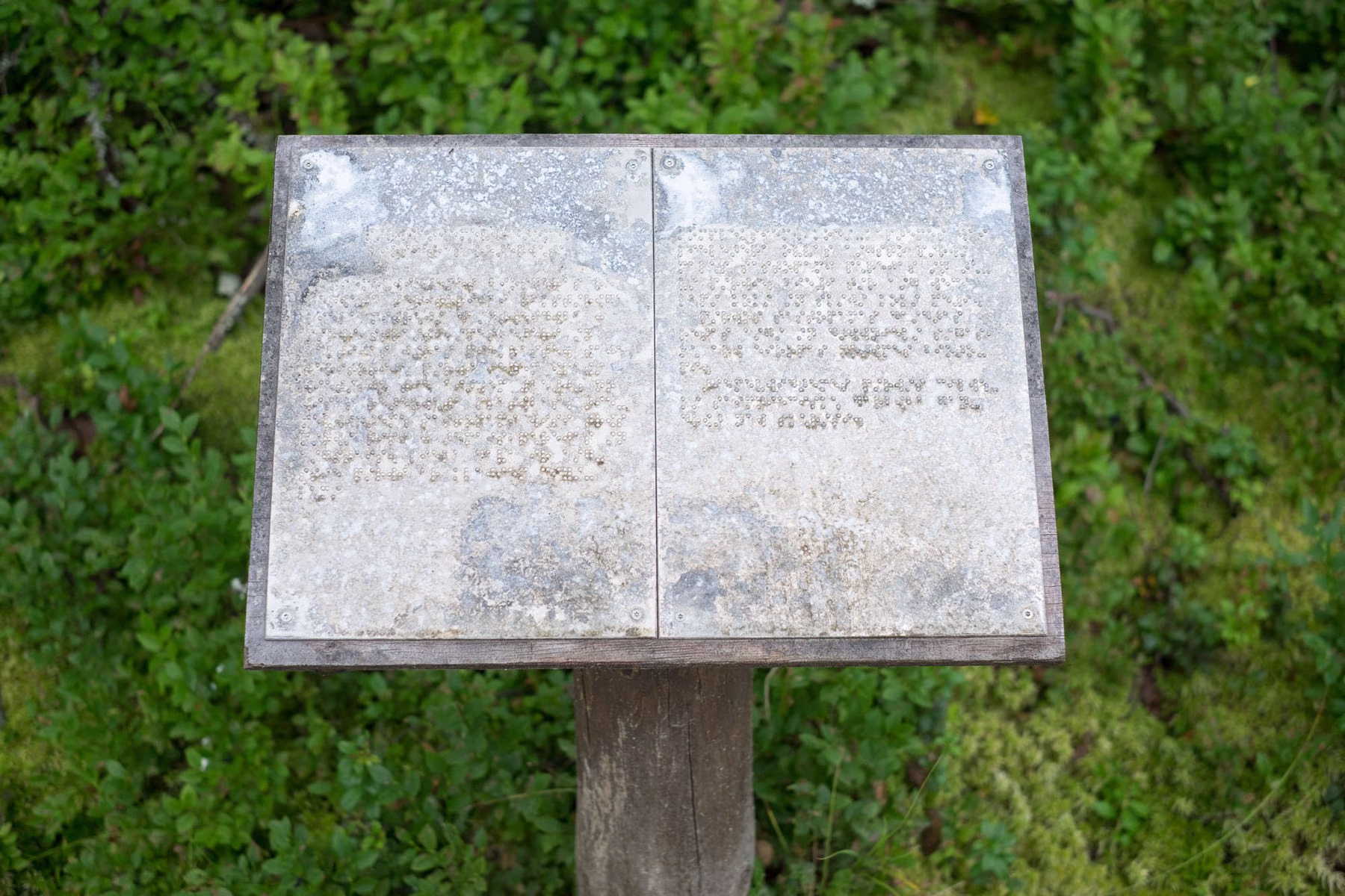 DSCF7707
