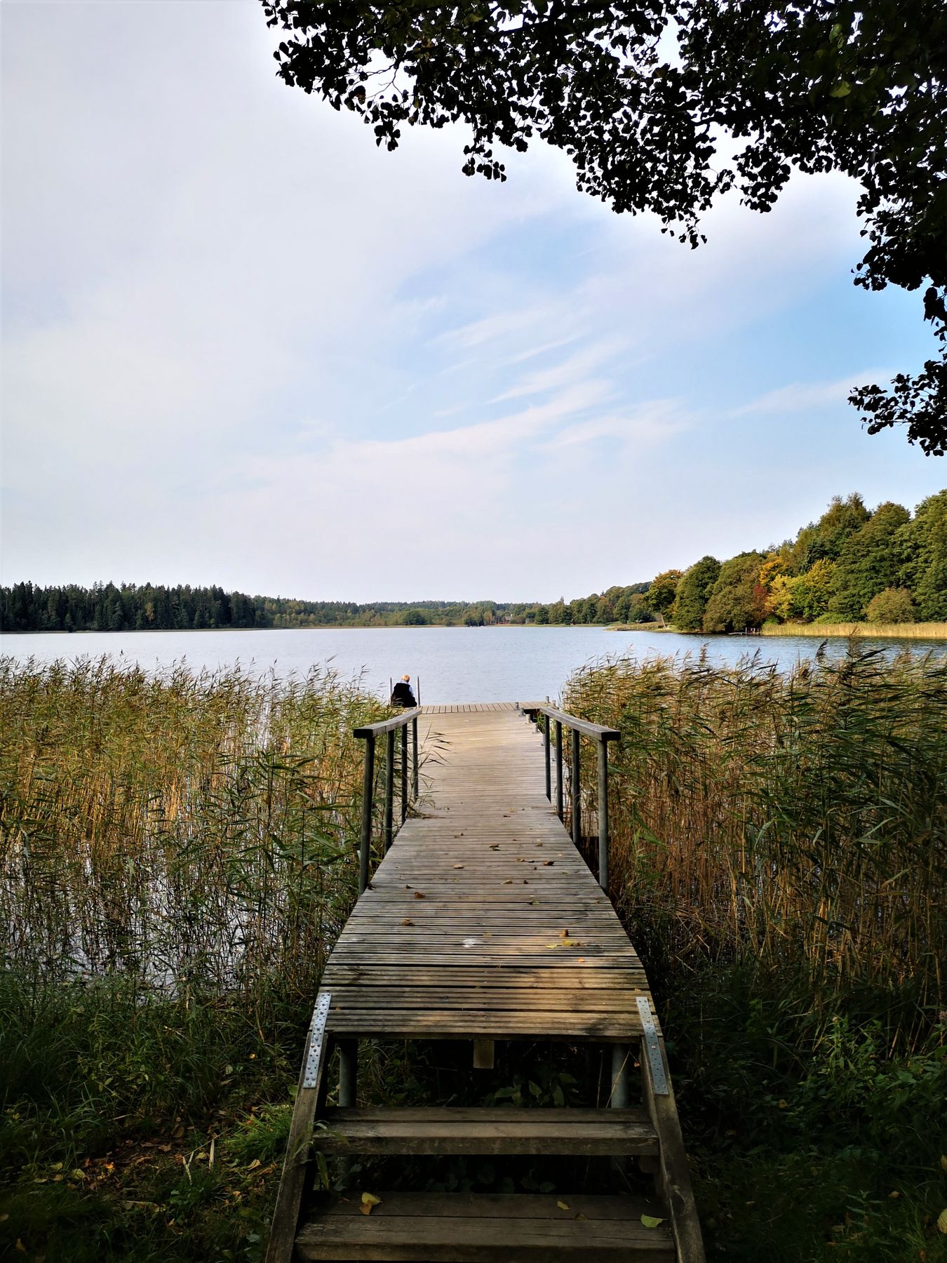 7_Plateliai_surroundings_antanaviciute_Berzoras_lake