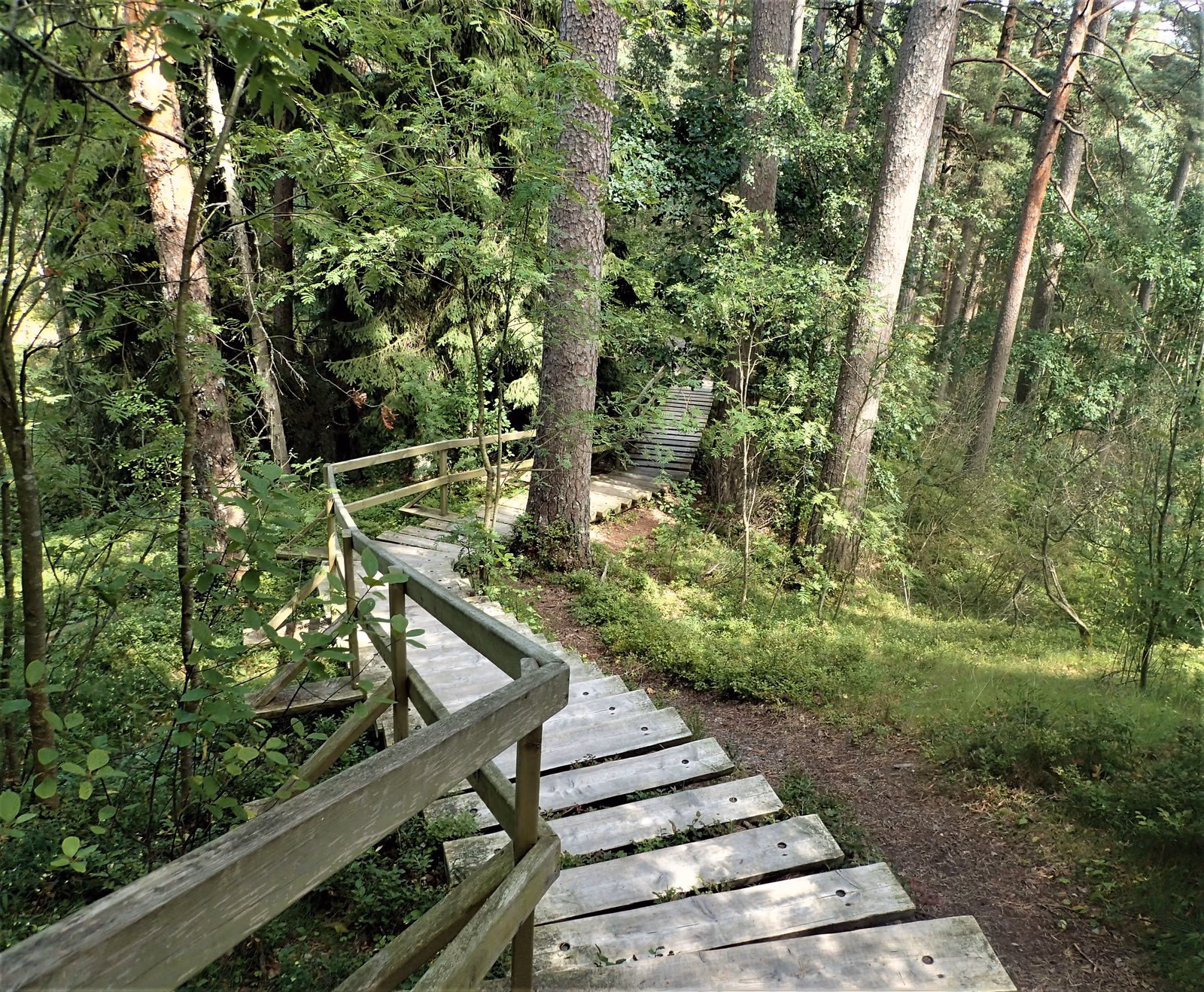 P7200189