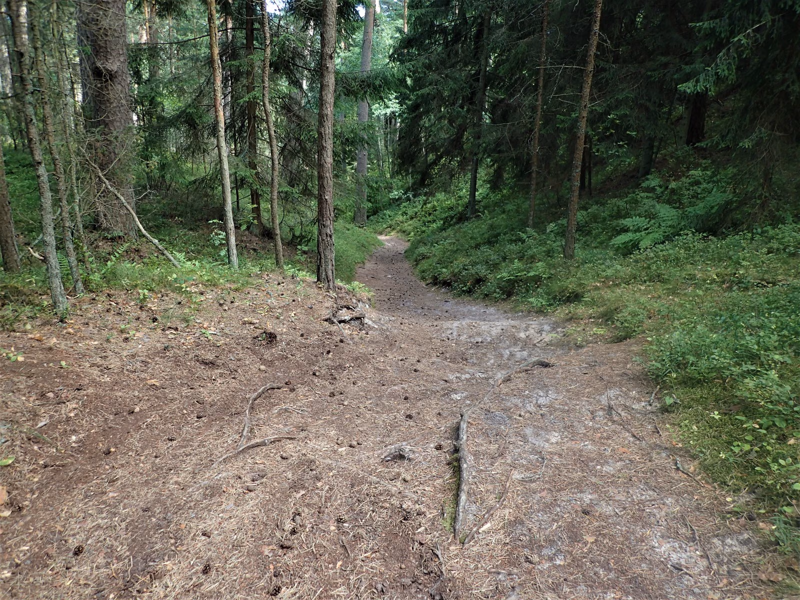 P7200201