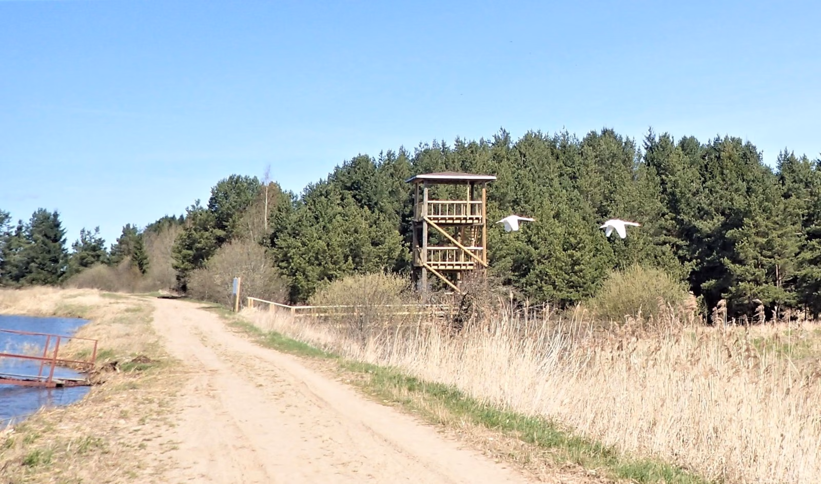 P4230025_3_