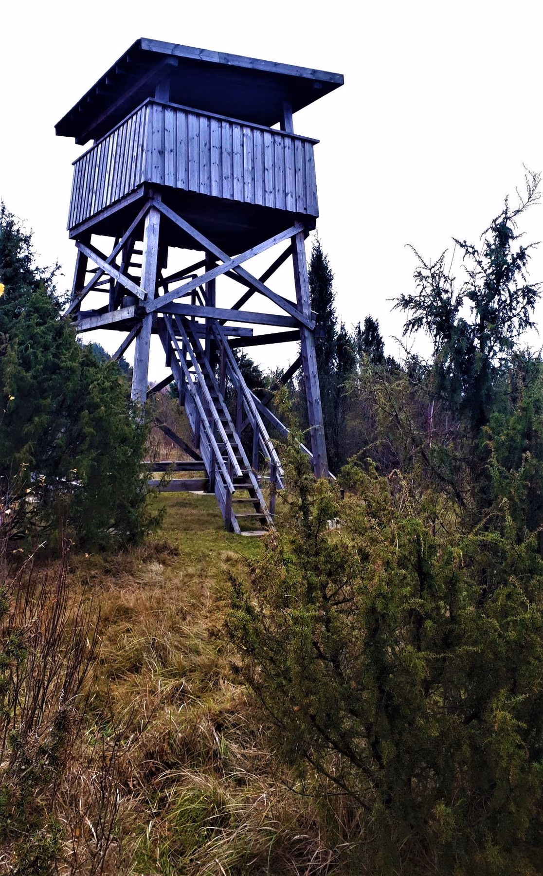 _aukliai_review_tower