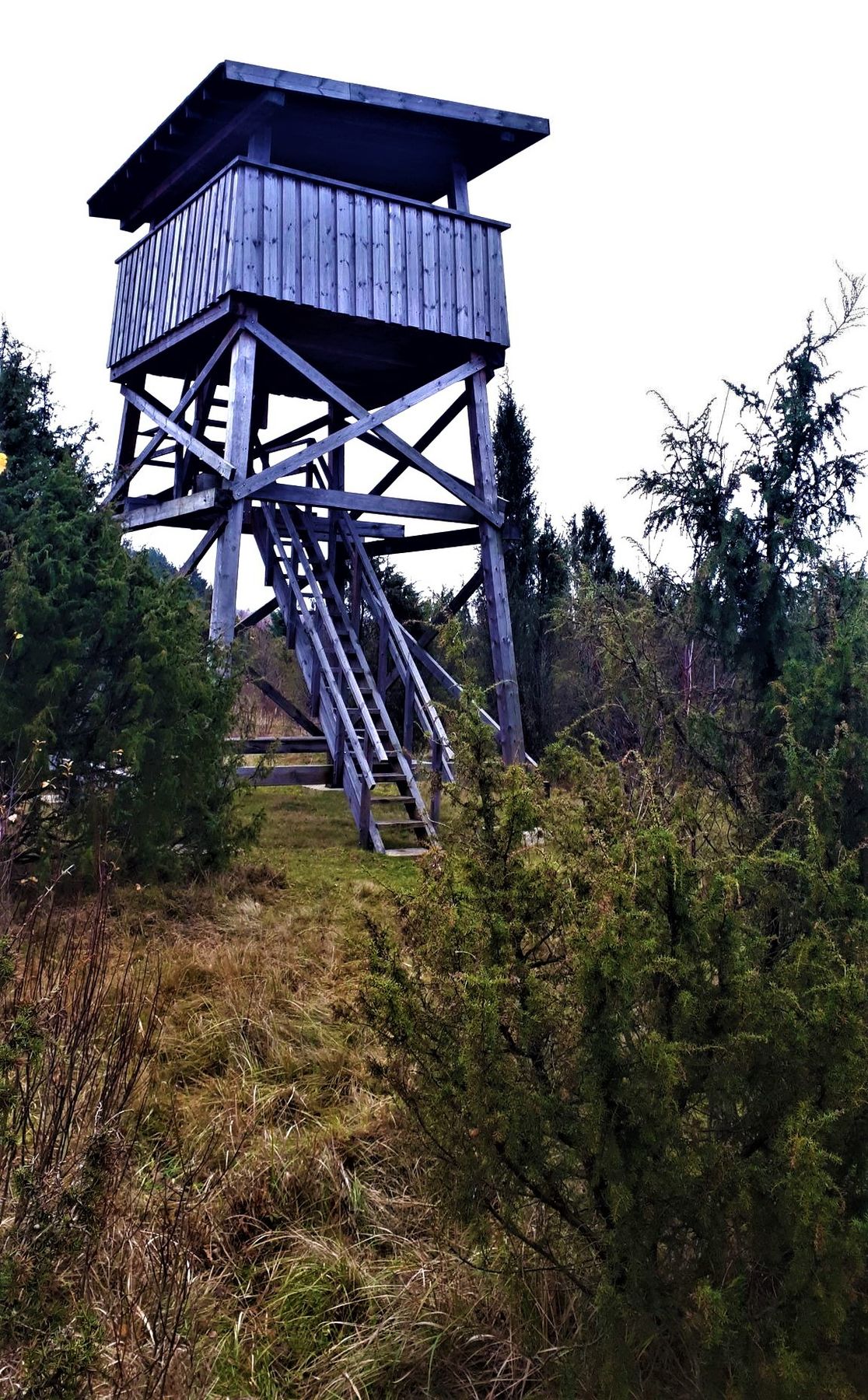 _aukliai_review_tower